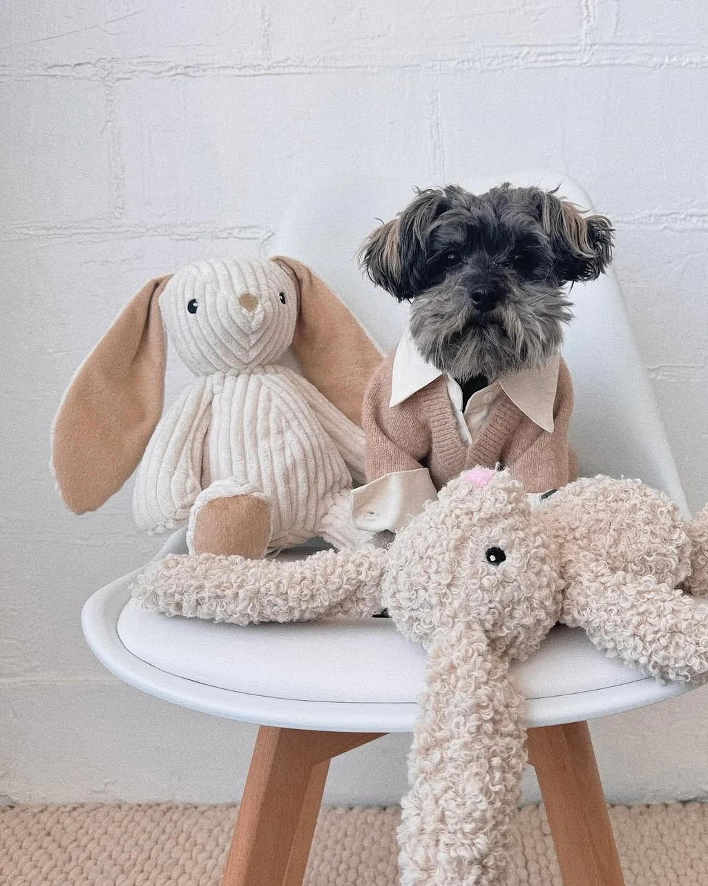 Hoppy Day Bunny Dog Toy - Image 2