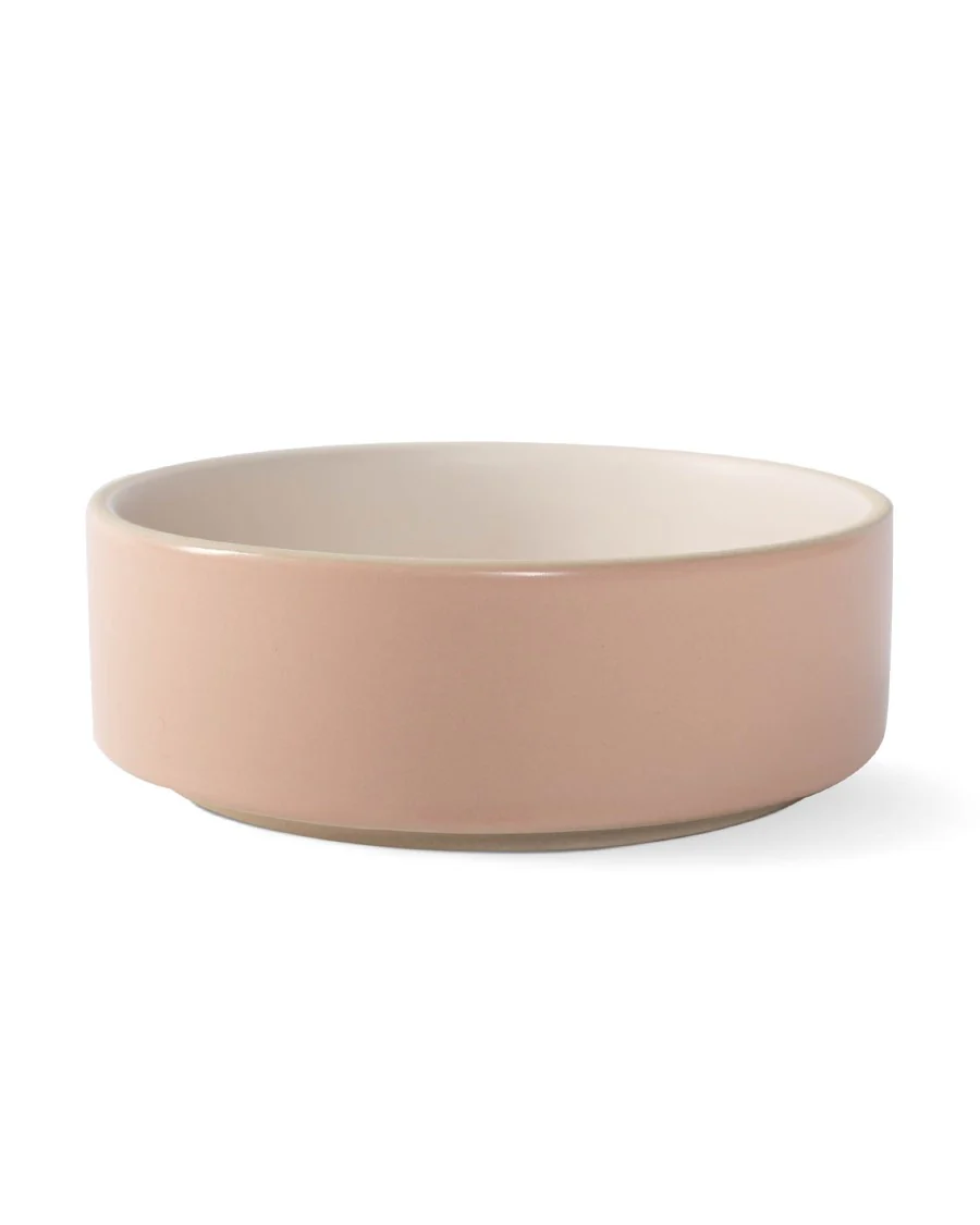 Bowled Over Modern Blush Dog Bowl