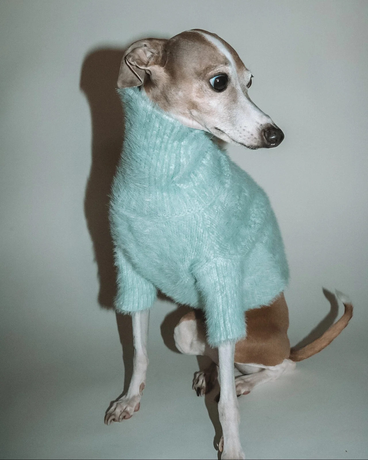 Bobbi Mint Eyelash Knit Dog Sweater - Image 4