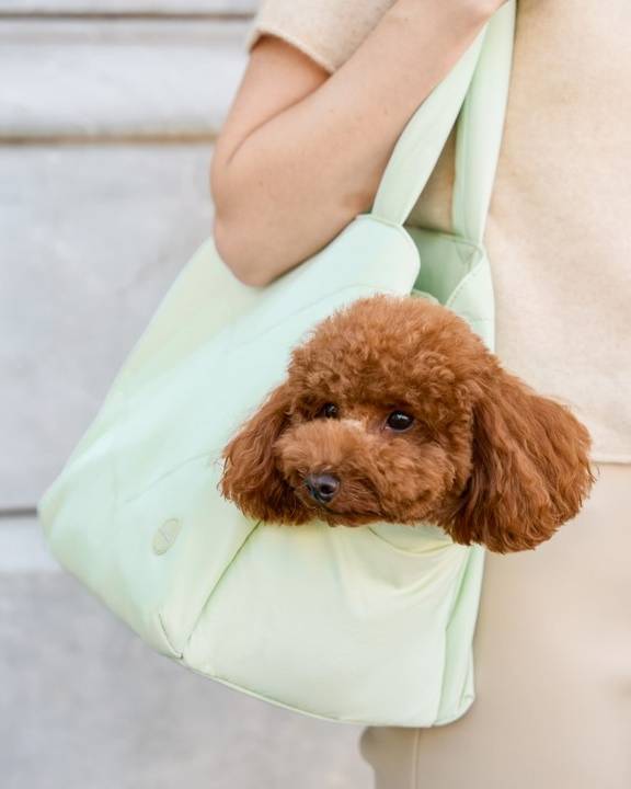 Road Trip Mint Pet Carrier Tote - Image 5