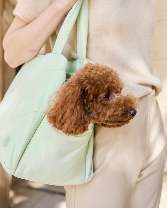 Road Trip Mint Pet Carrier Tote - Image 8