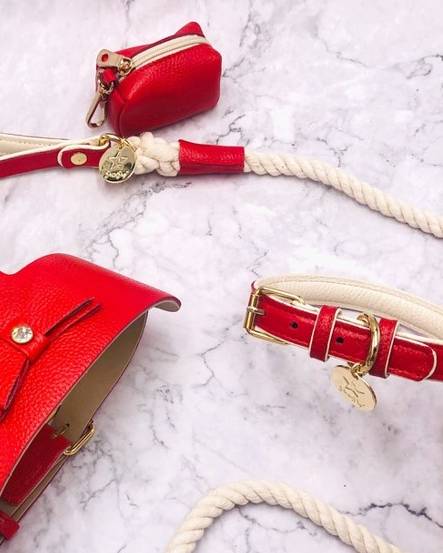 Demure Dog Red Leather Collar - Image 4