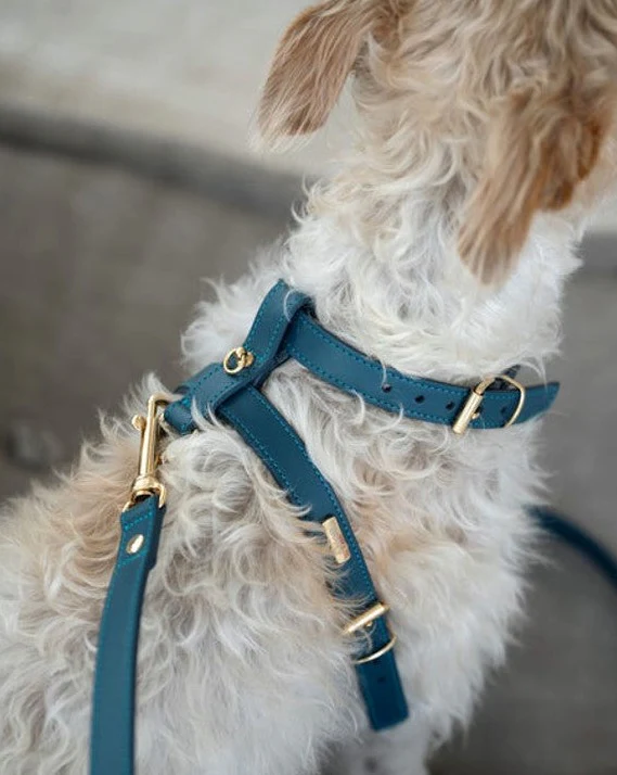 Palermo Blue Leather Dog Harness - Image 2