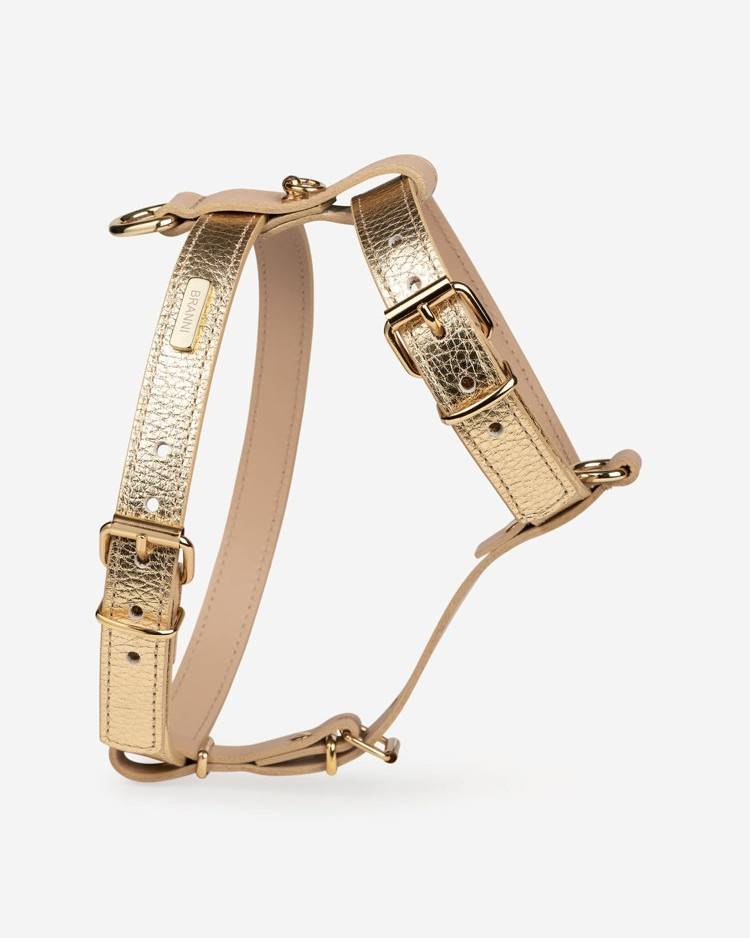 Palermo Gold Leather Dog Harness