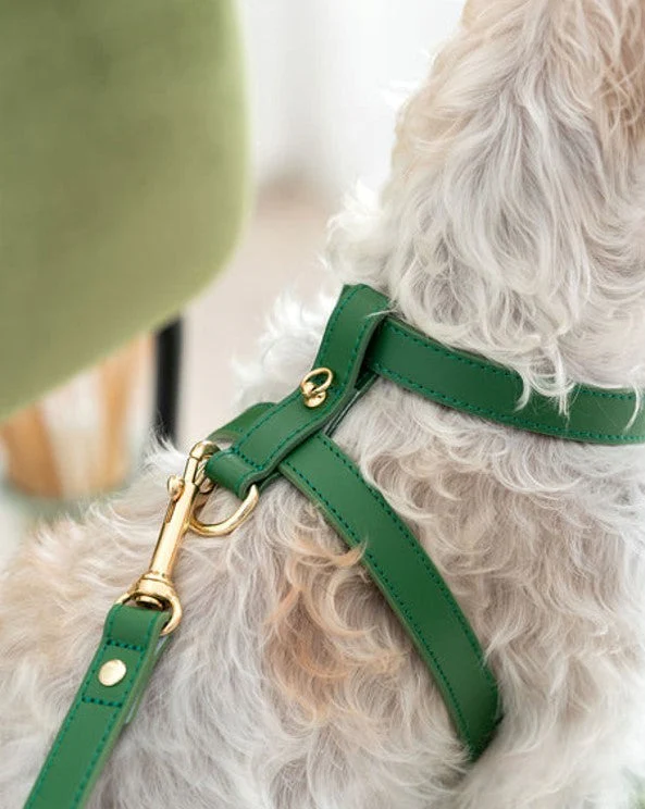 Palermo Green Leather Dog Harness - Image 2
