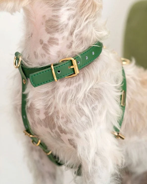Palermo Green Leather Dog Harness - Image 3