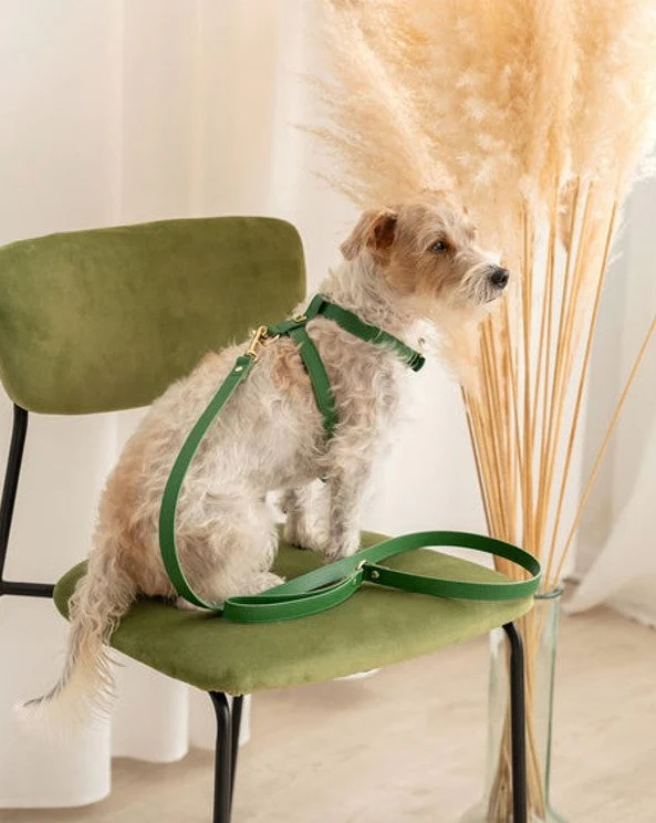 Palermo Green Leather Dog Harness - Image 4