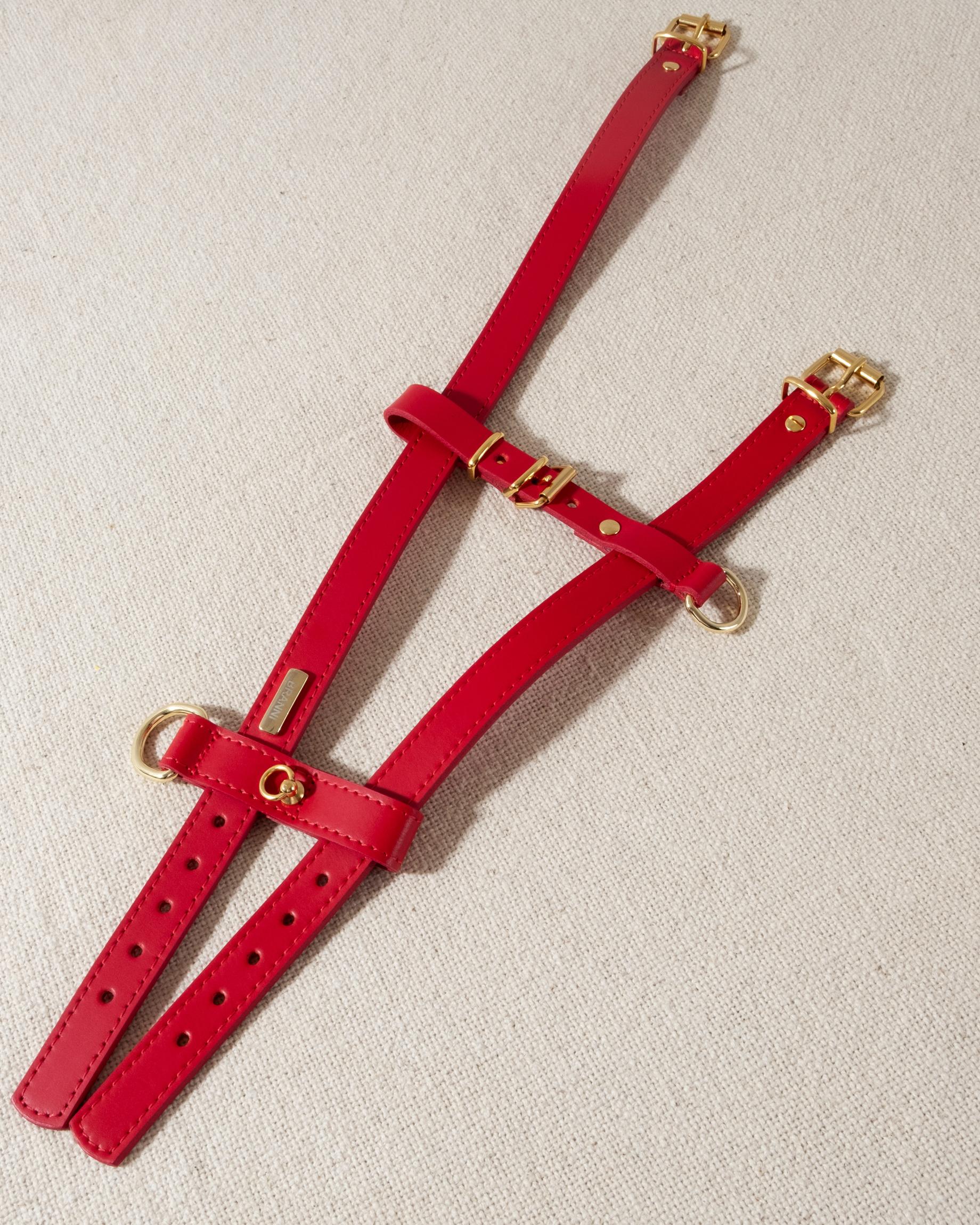 Palermo Red Leather Dog Harness - Image 7