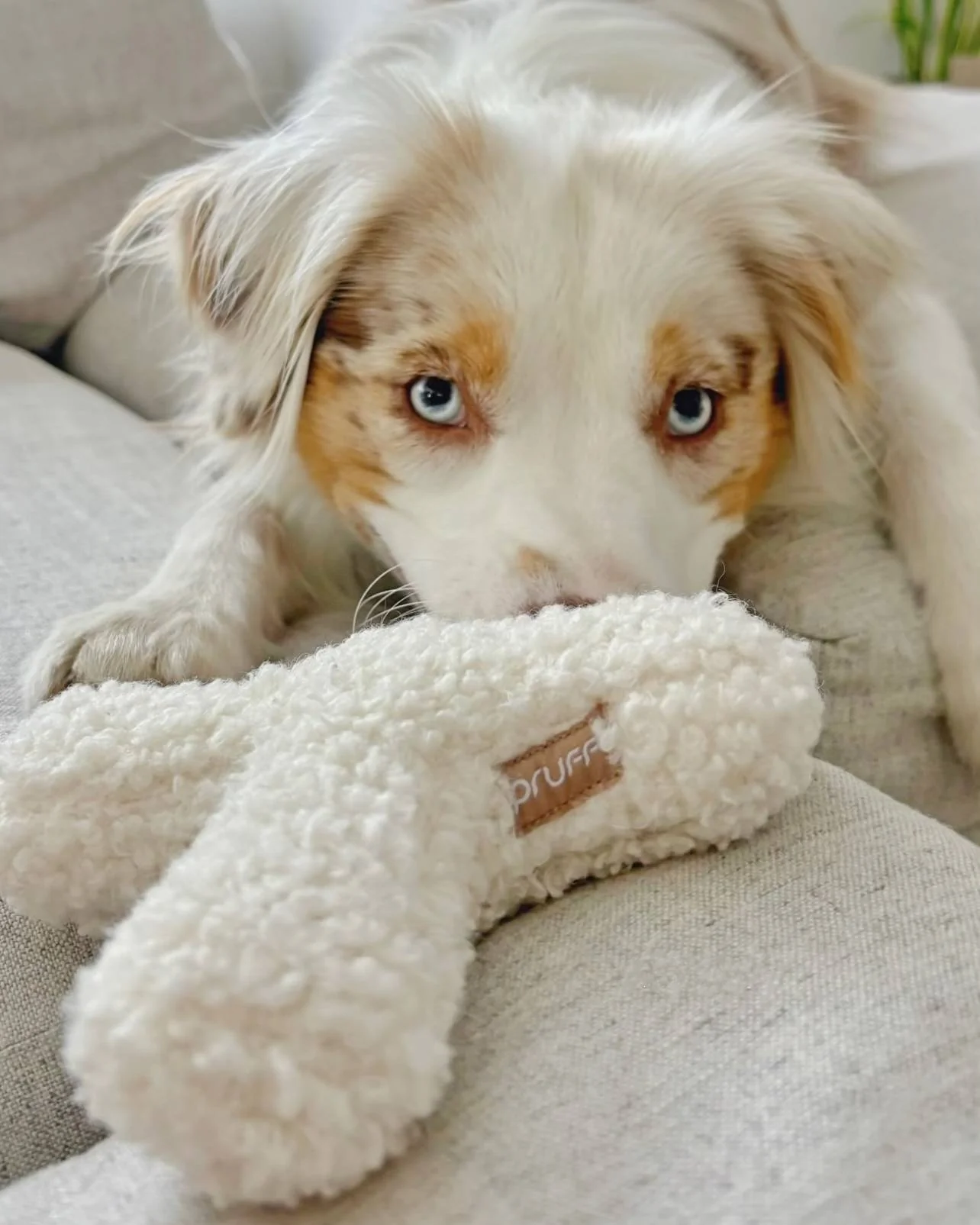 Cross My Heart Boucle Toy - Image 7