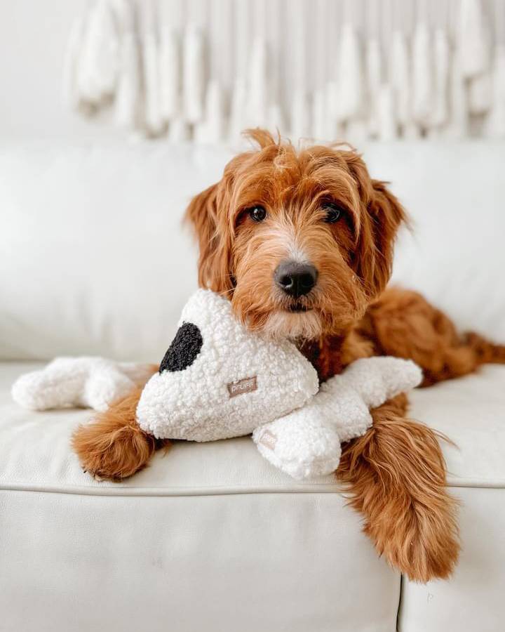 Boujee Boucle Dog Toy Trio - Image 3
