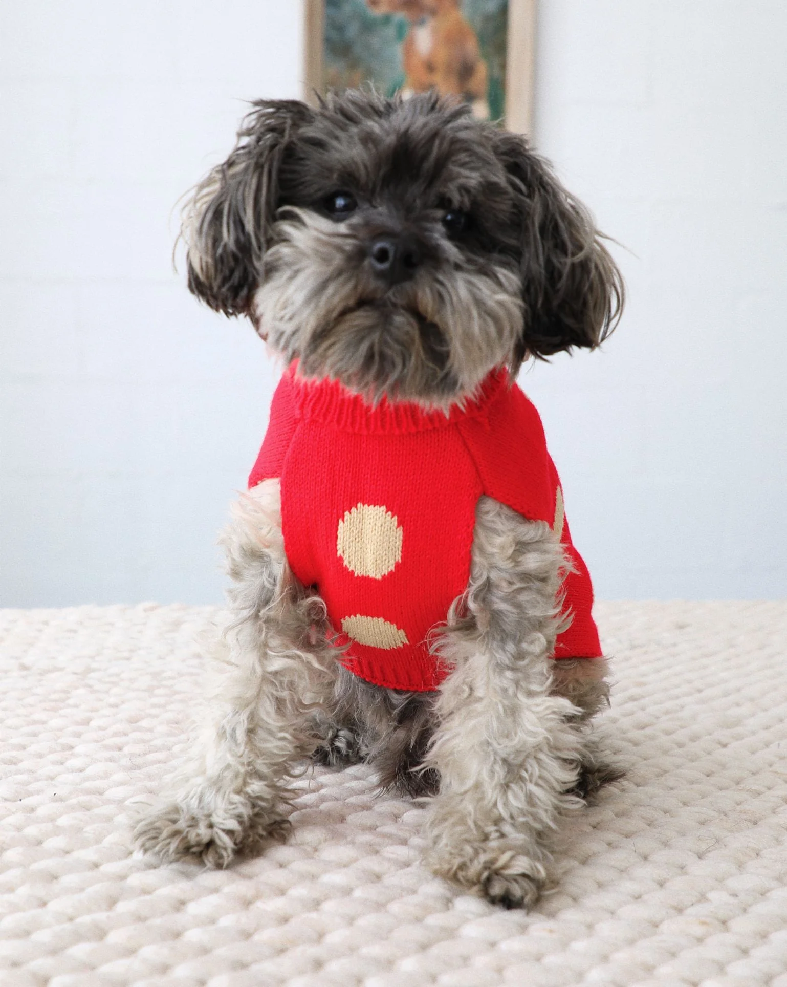 Jingle Pup Reversible Dog Sweater - Image 2