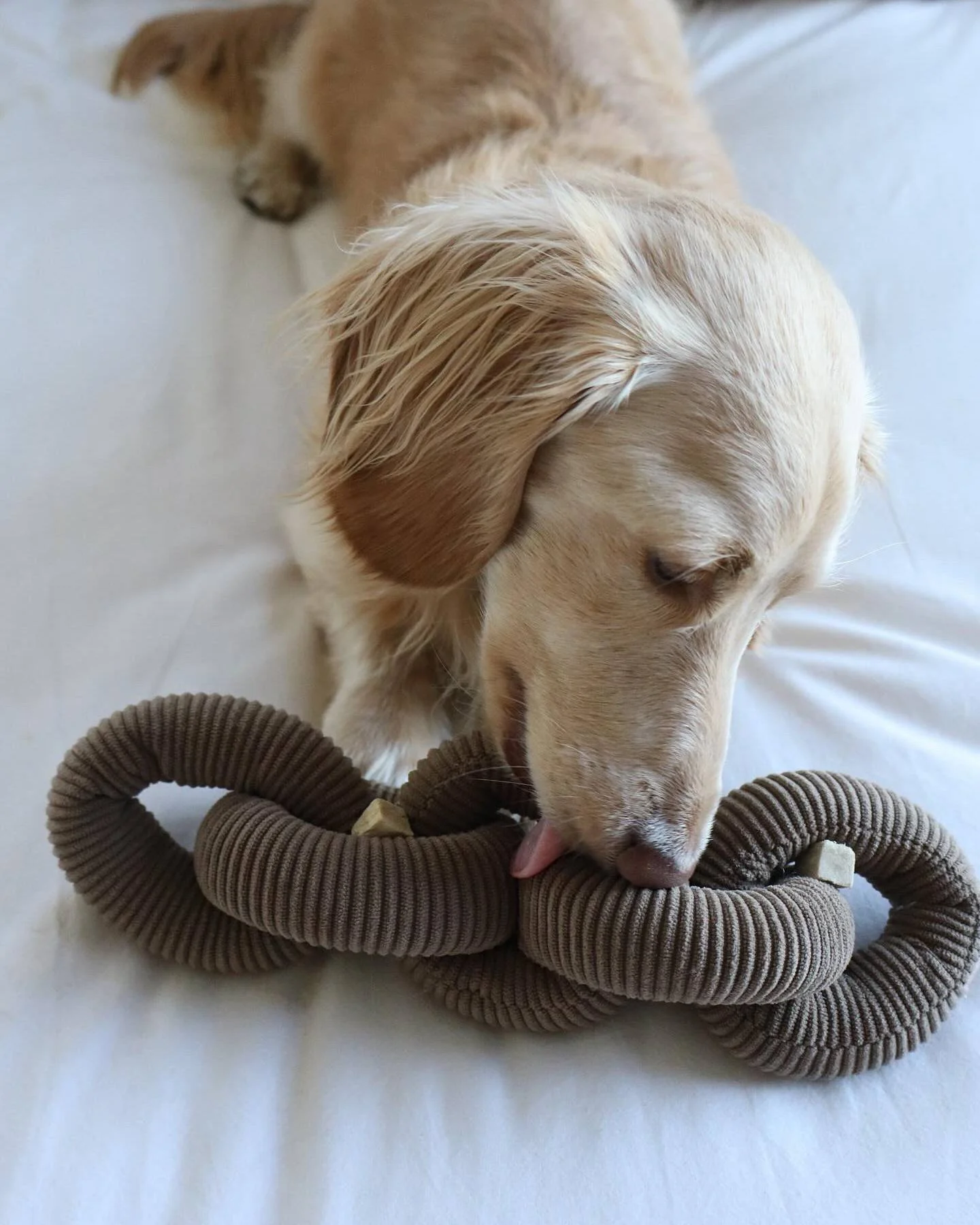Link Up Brown Plush Toy - Image 2
