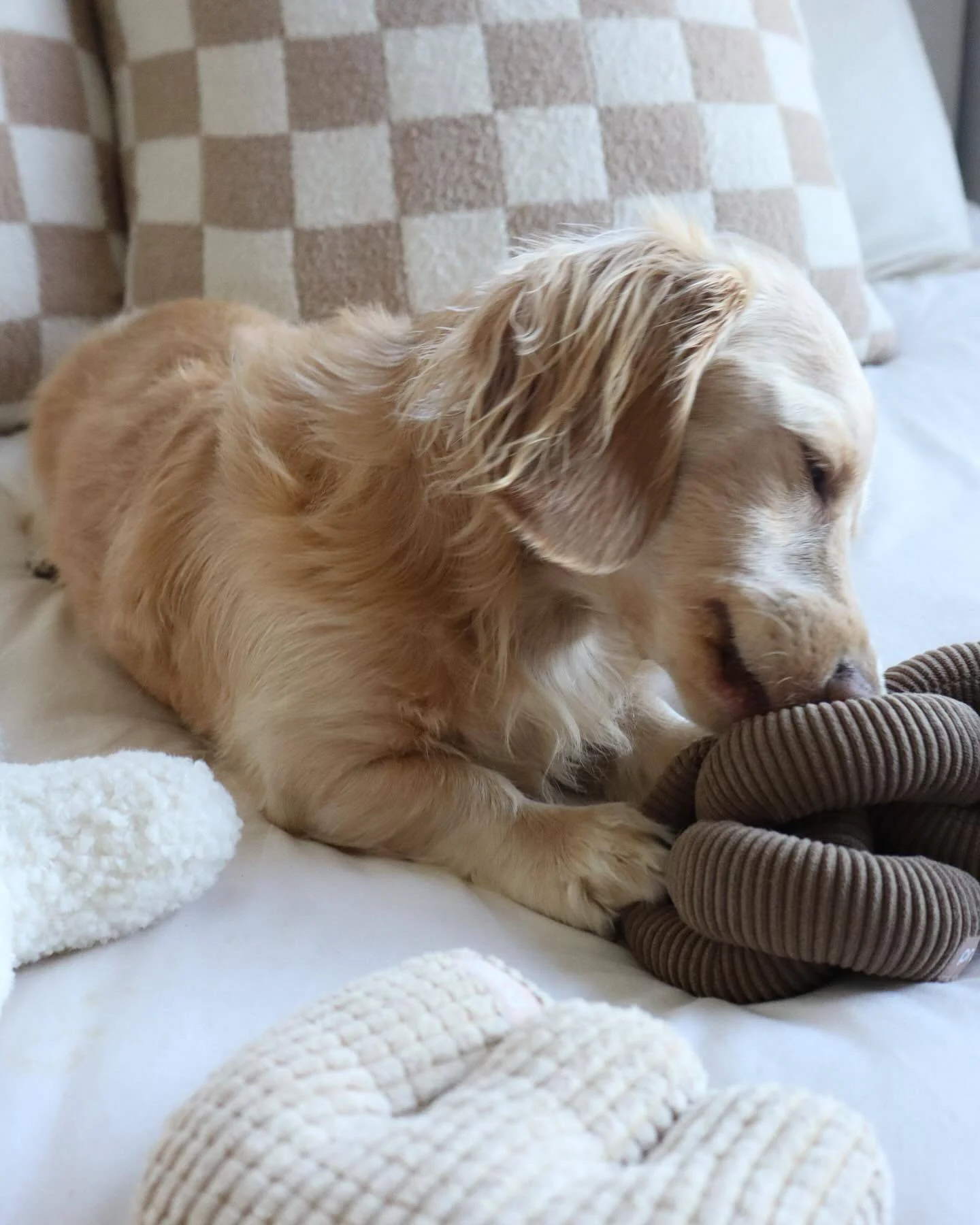 Link Up Brown Plush Toy - Image 6