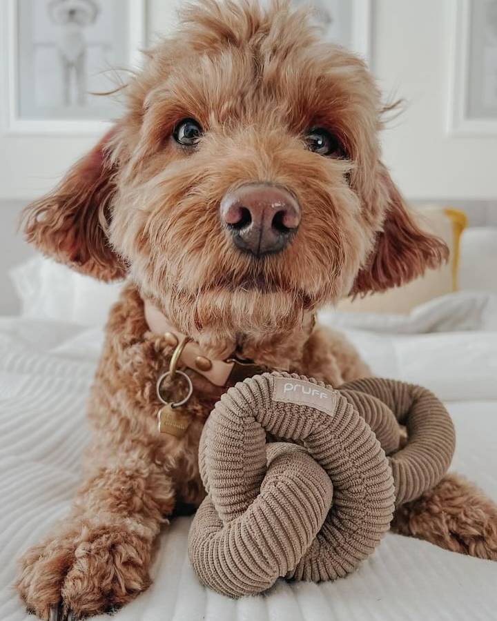 Link Up Brown Plush Toy - Image 9