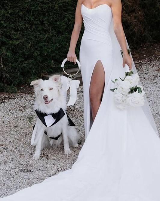 Prance Down the Aisle Wedding Leash Set - Image 5
