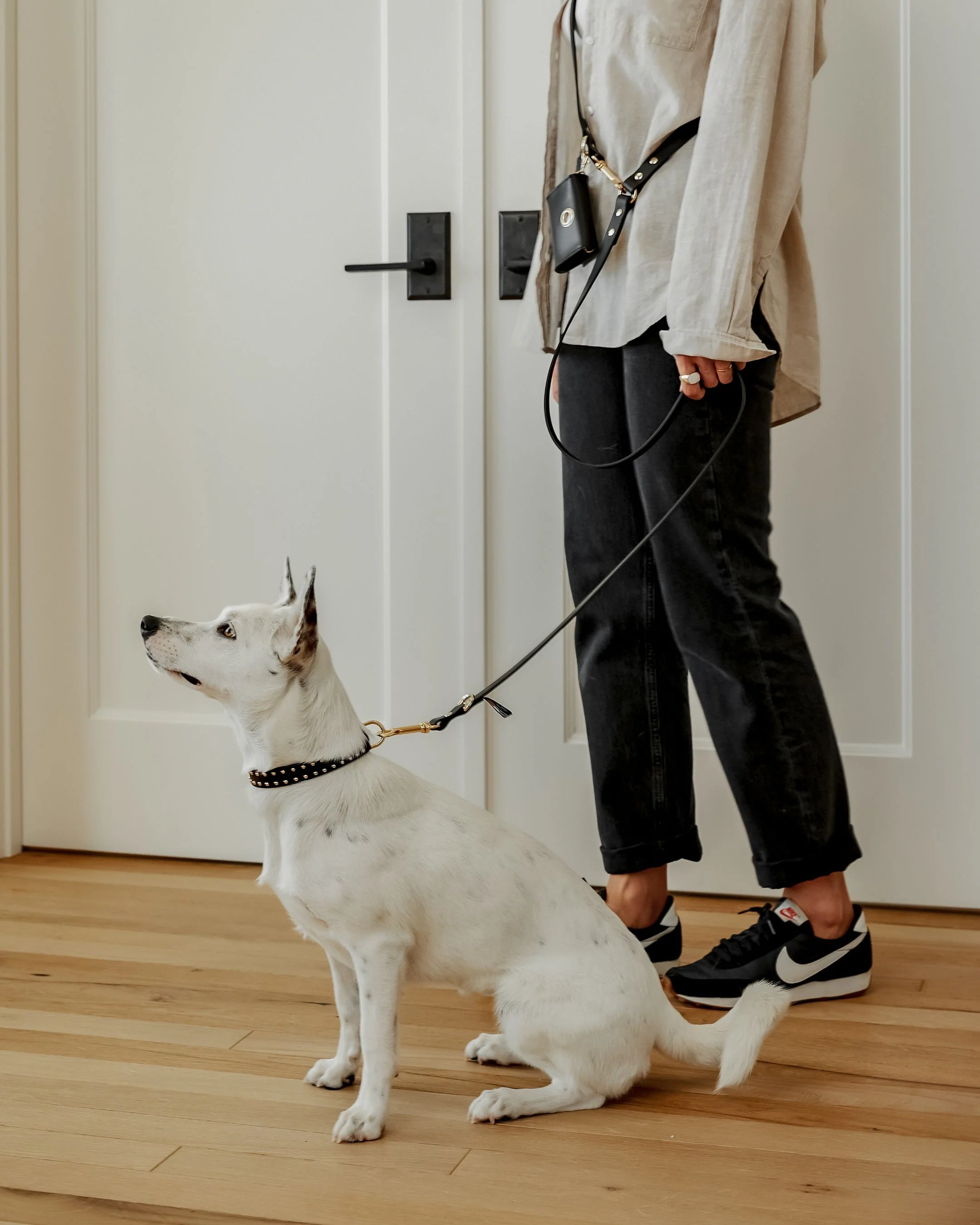 Multi-Position Black Leather Dog Leash - Image 8