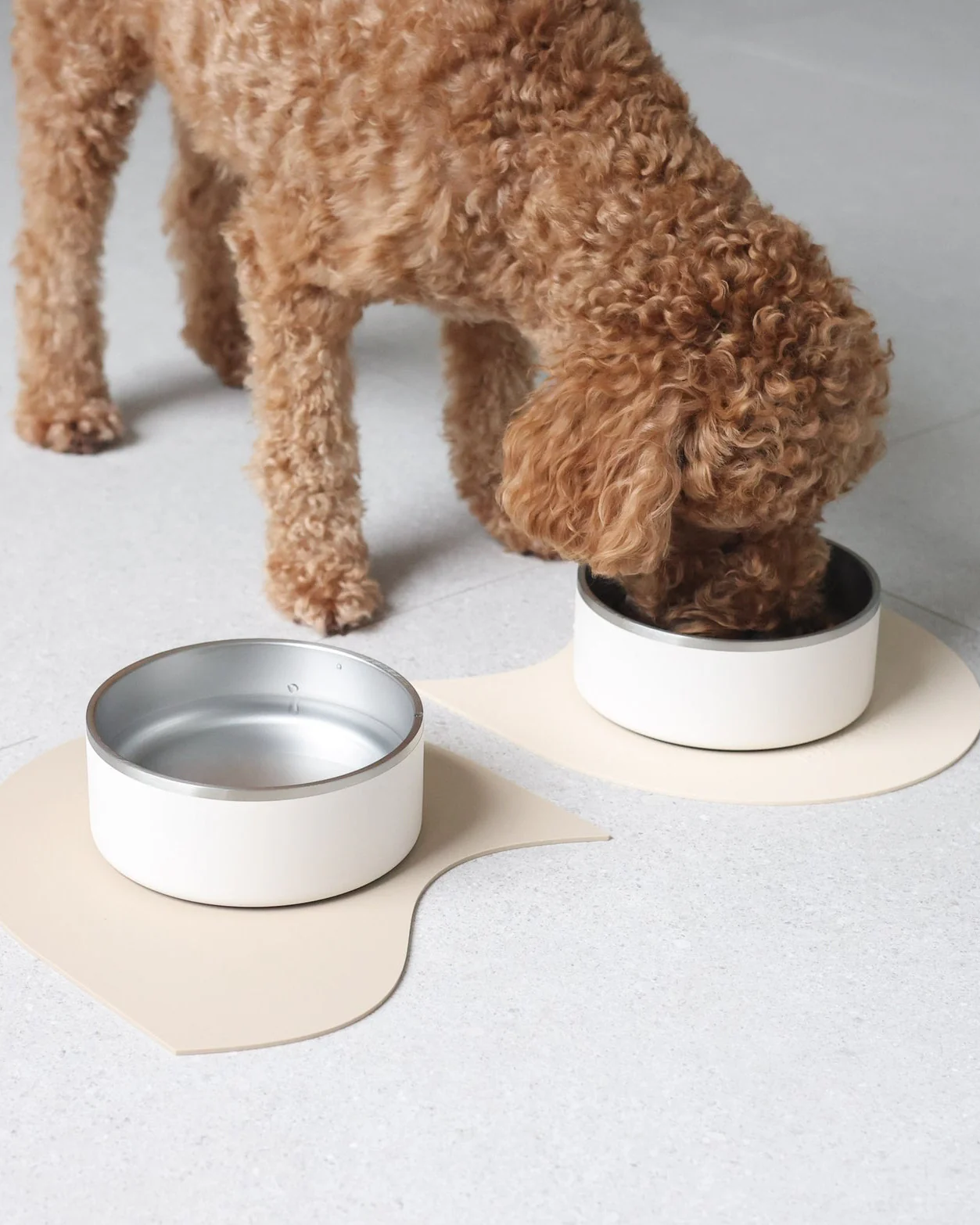 Supper Club Dog Mealtime Kit: Bowl Set + Placemats - Image 2