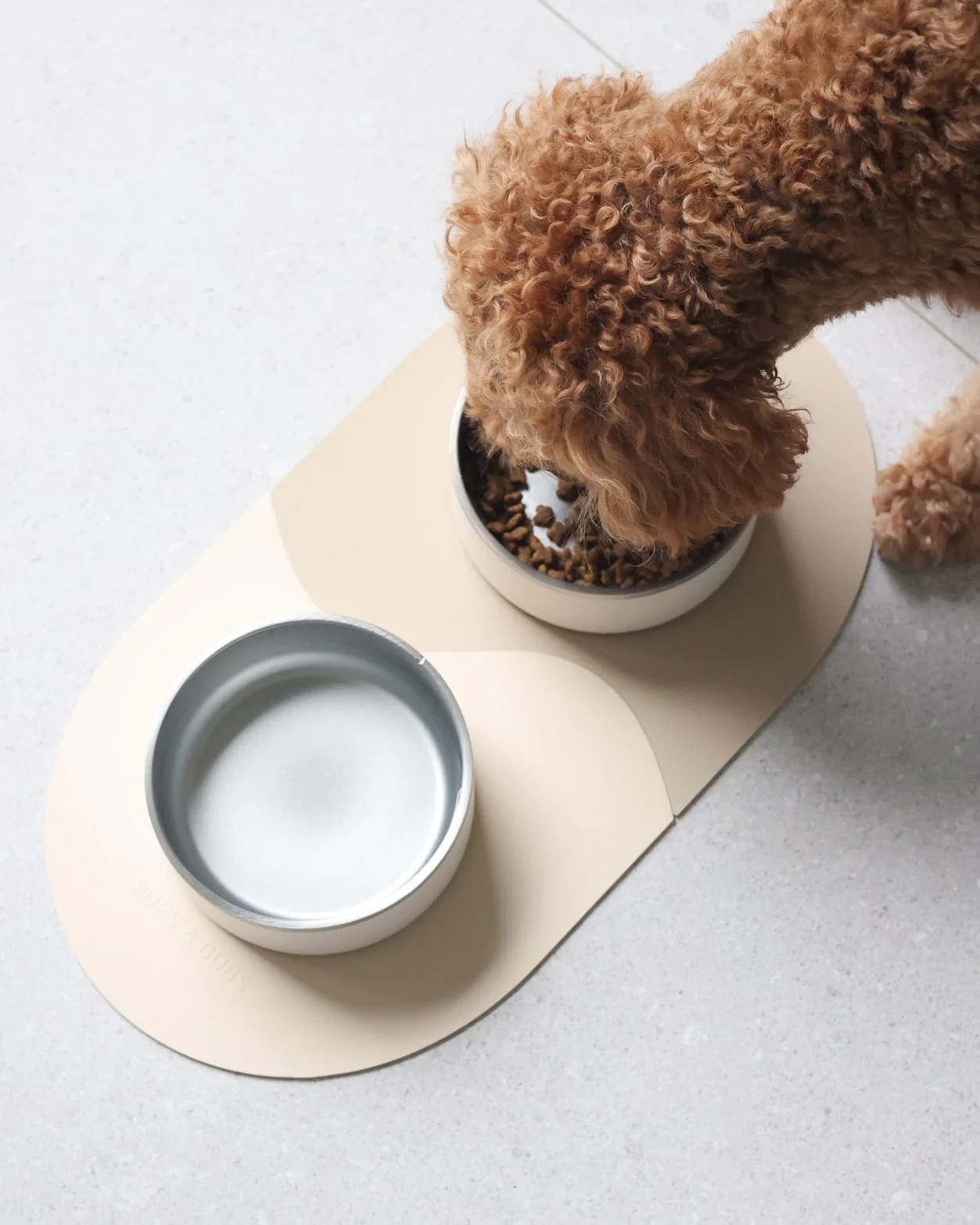 Supper Club Dog Mealtime Kit: Bowl Set + Placemats - Image 3