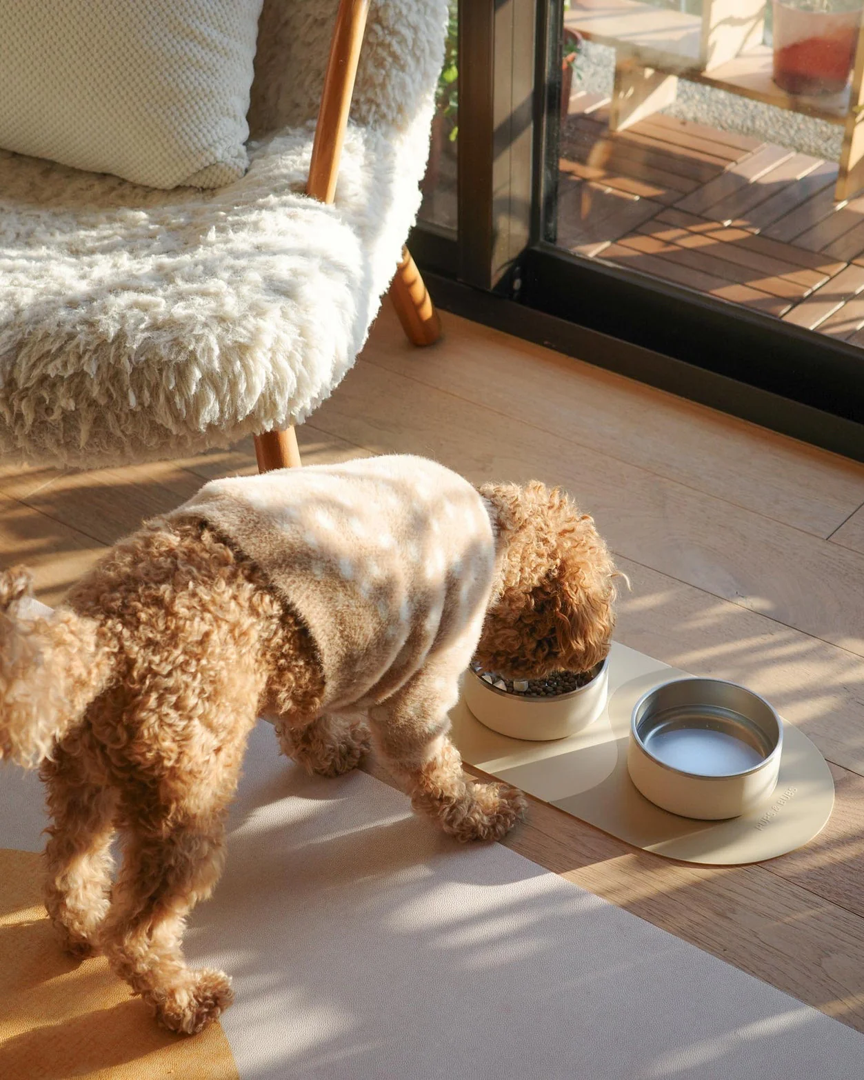 Supper Club Dog Mealtime Kit: Bowl Set + Placemats - Image 4