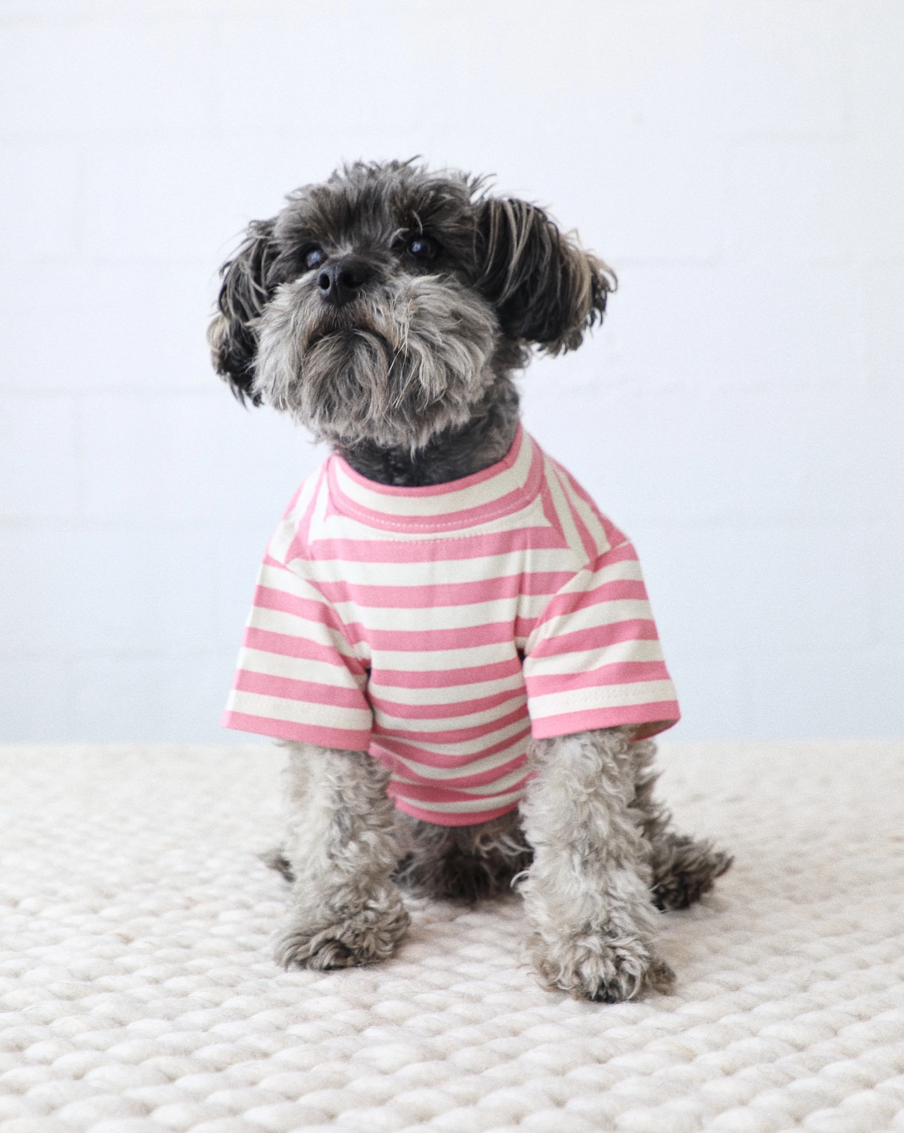 Tickled Pink Striped Dog T-Shirt - Image 6