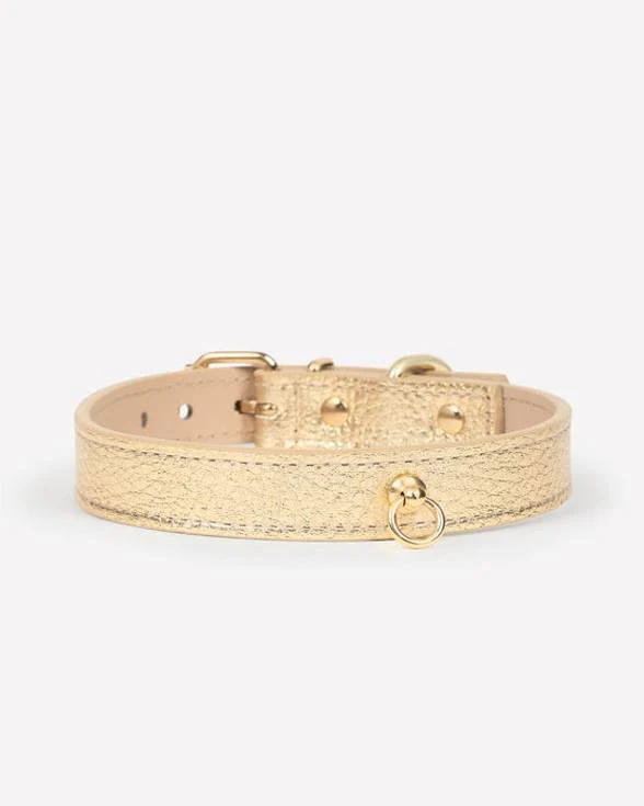 Nara Leather Skinny Collar in Gold - Image 3