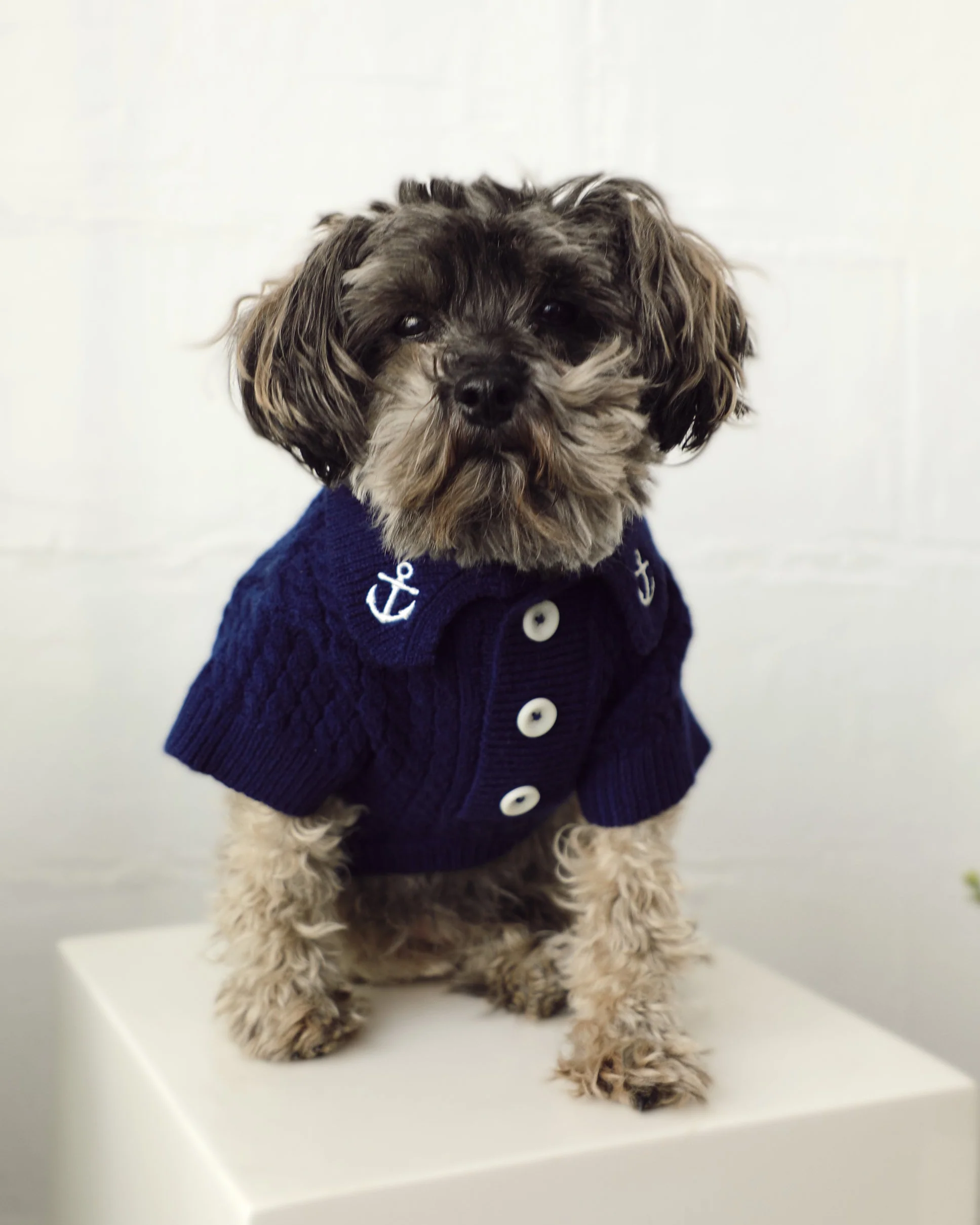 Little Skipper Navy Cable Knit Polo Sweater - Image 2