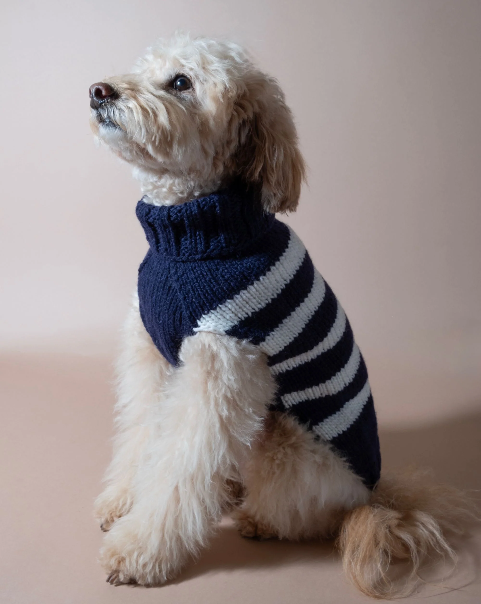 Between the Lines Navy Alpaca Stripe Dog Sweater - Image 2