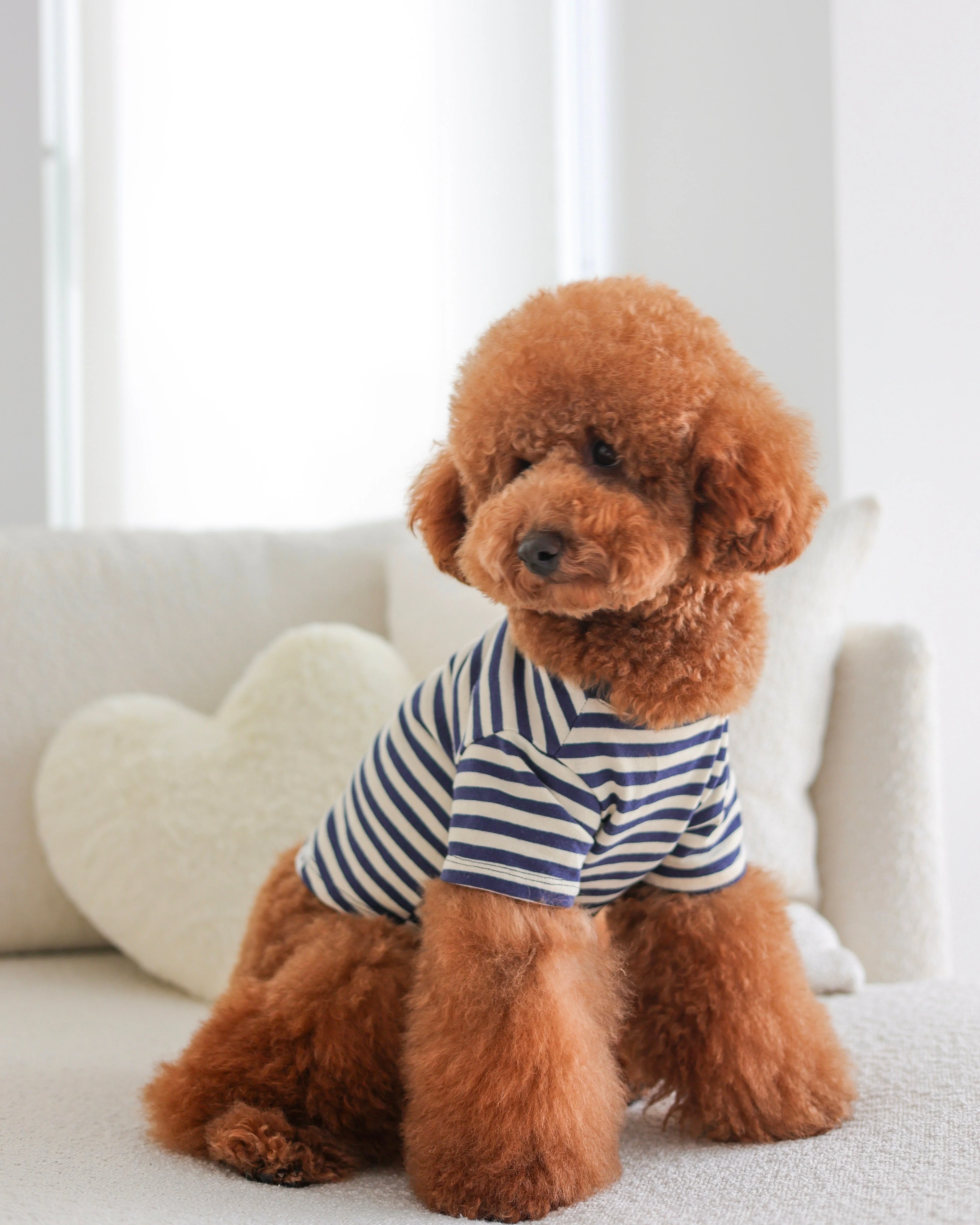 Playful Pooch Navy + Ivory Striped Dog T-Shirt - Image 2