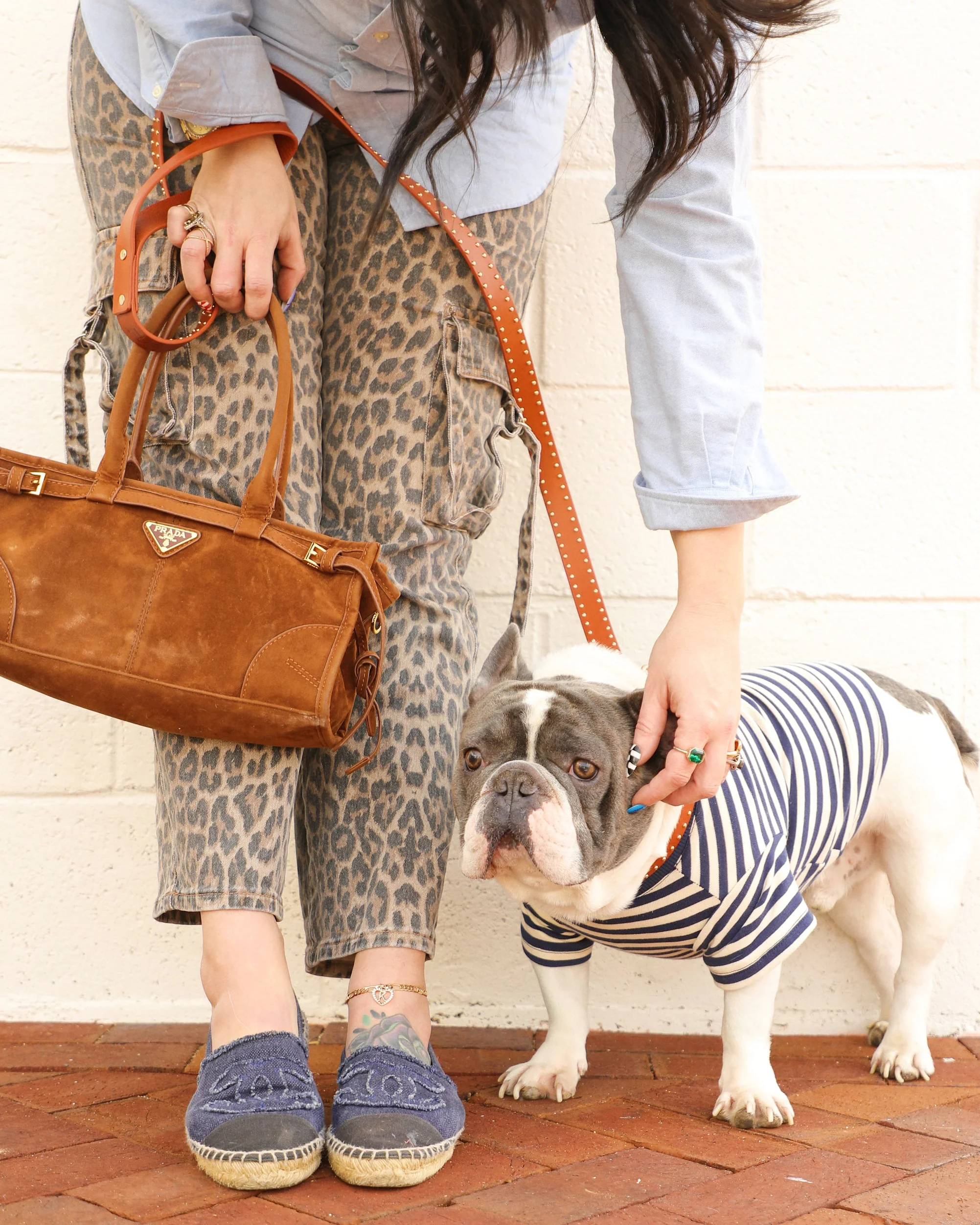 Playful Pooch Navy + Ivory Striped Dog T-Shirt - Image 7