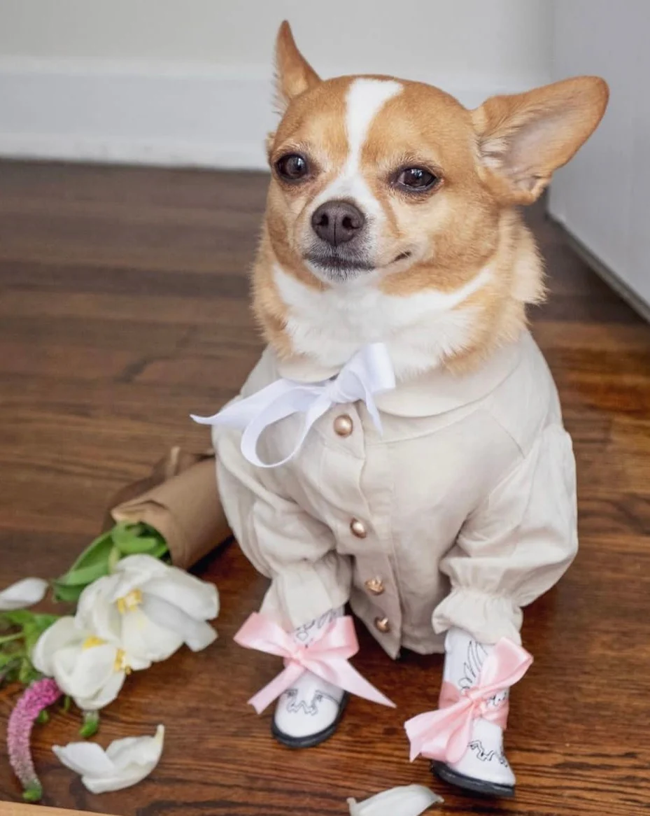 Mon Petit Oatmeal Linen Dog Blouse - Image 3