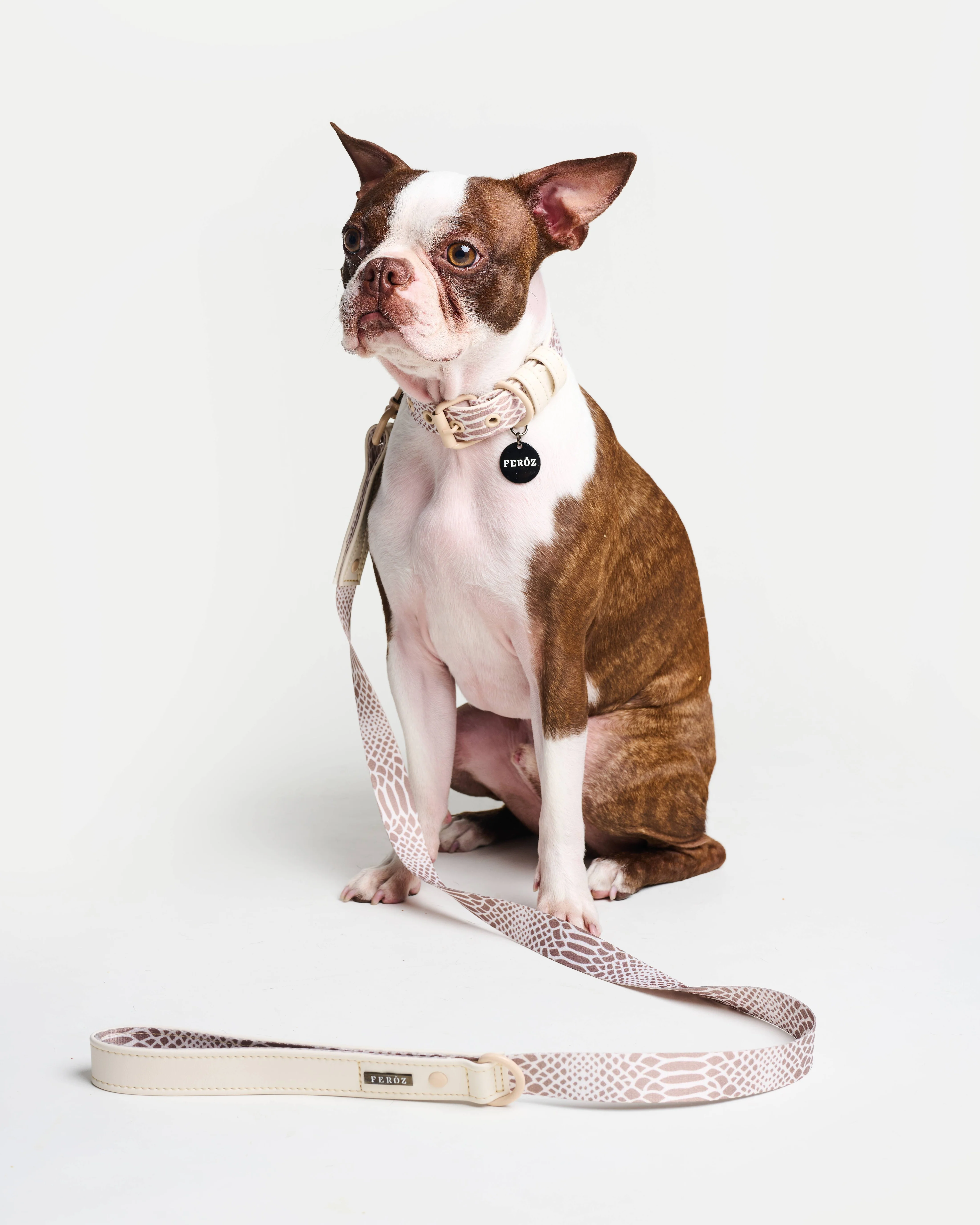 Fierce + Fab Neutral Snake Dog Leash