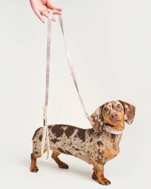 Fierce + Fab Neutral Snake Dog Leash - Image 4