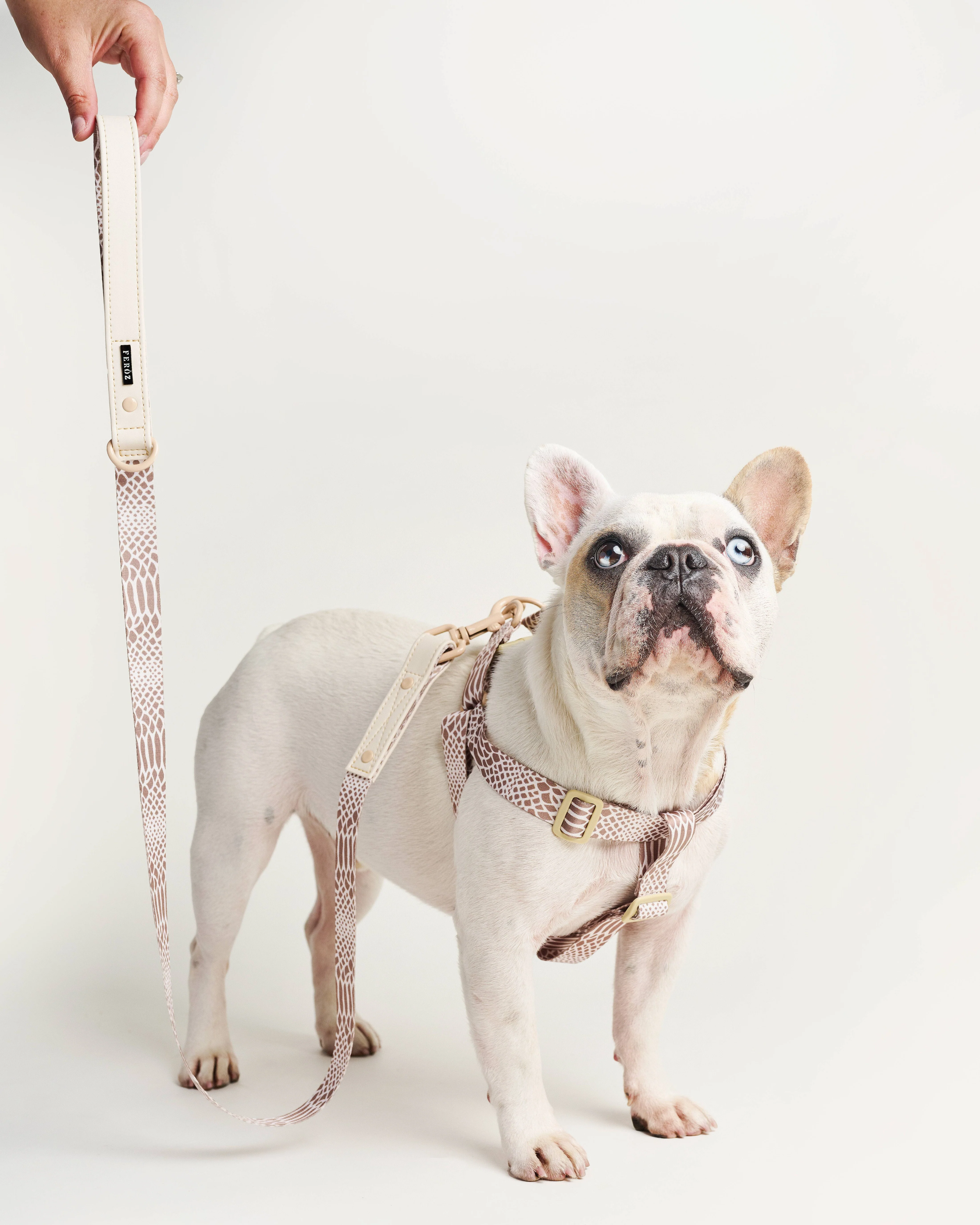 Fierce + Fab Neutral Snake Dog Leash - Image 5