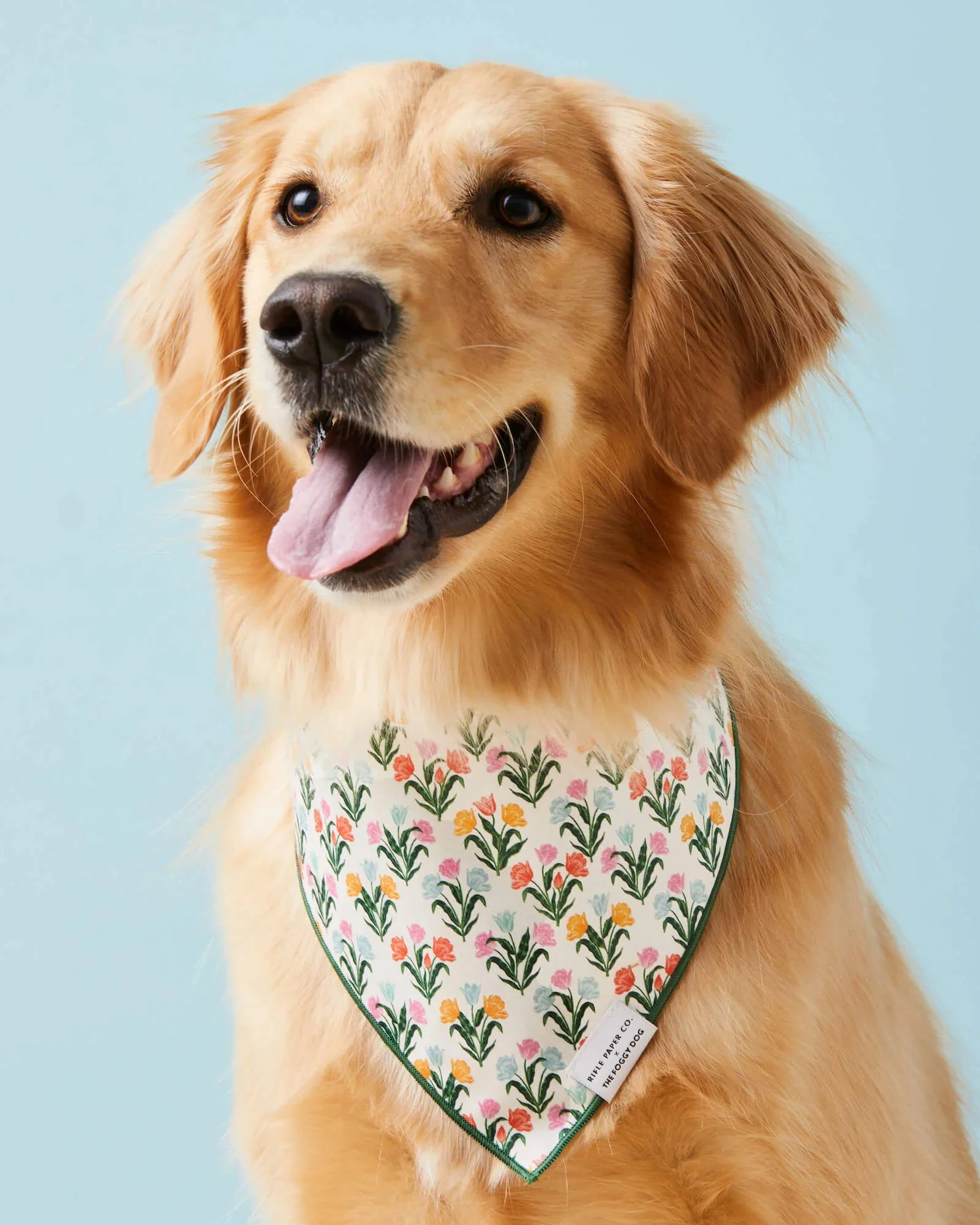 Fields of Dreams Floral Dog Bandana - Image 2