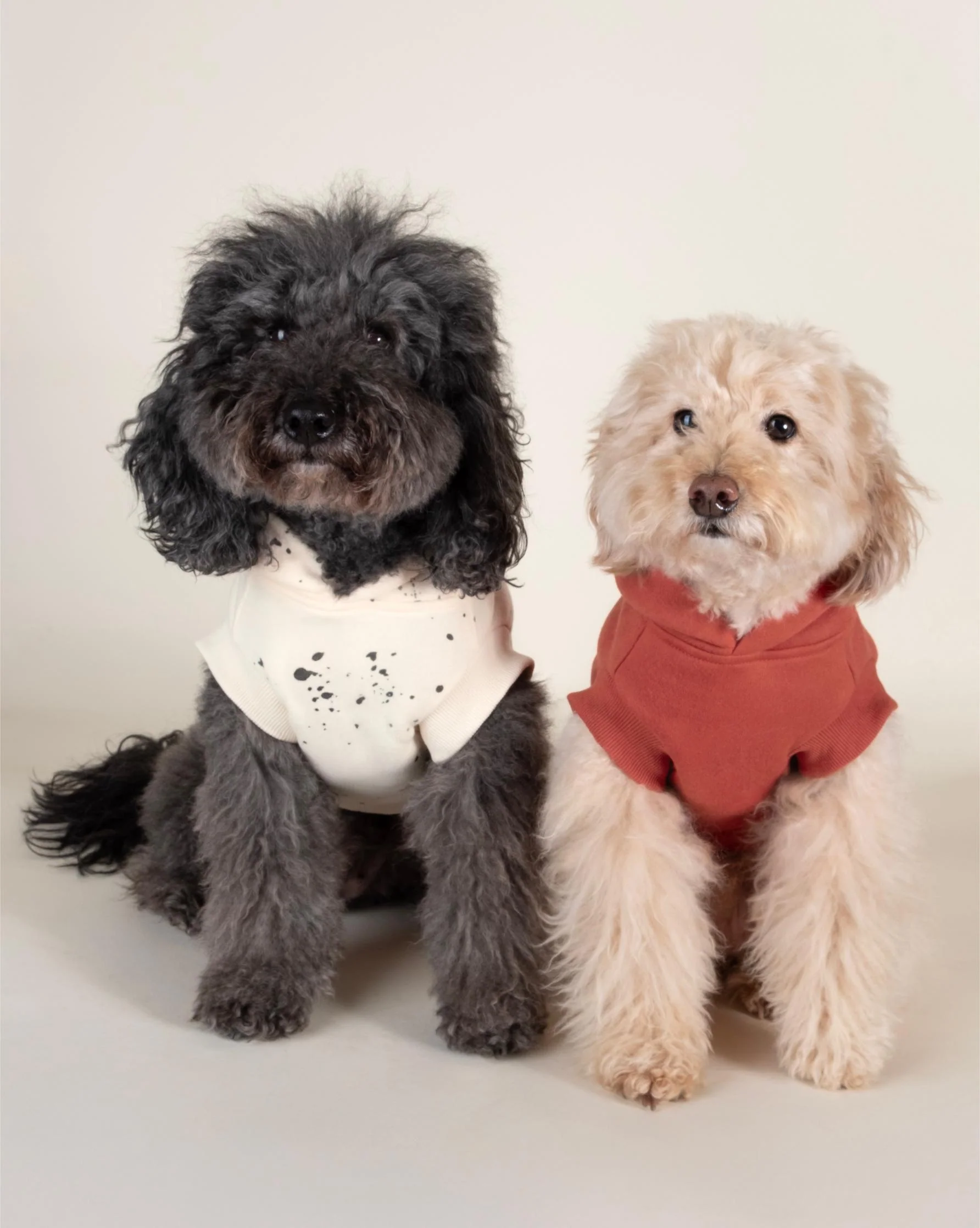 Bradley Ivory Paint Splatter Short Sleeve Dog Hoodie - Image 2