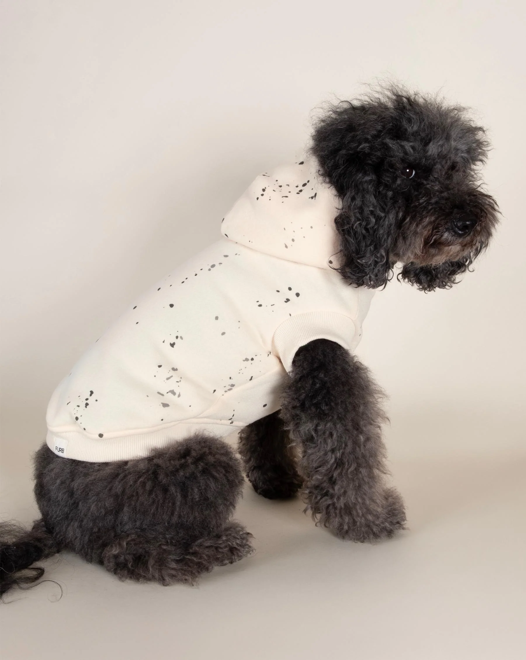 Bradley Ivory Paint Splatter Short Sleeve Dog Hoodie - Image 4