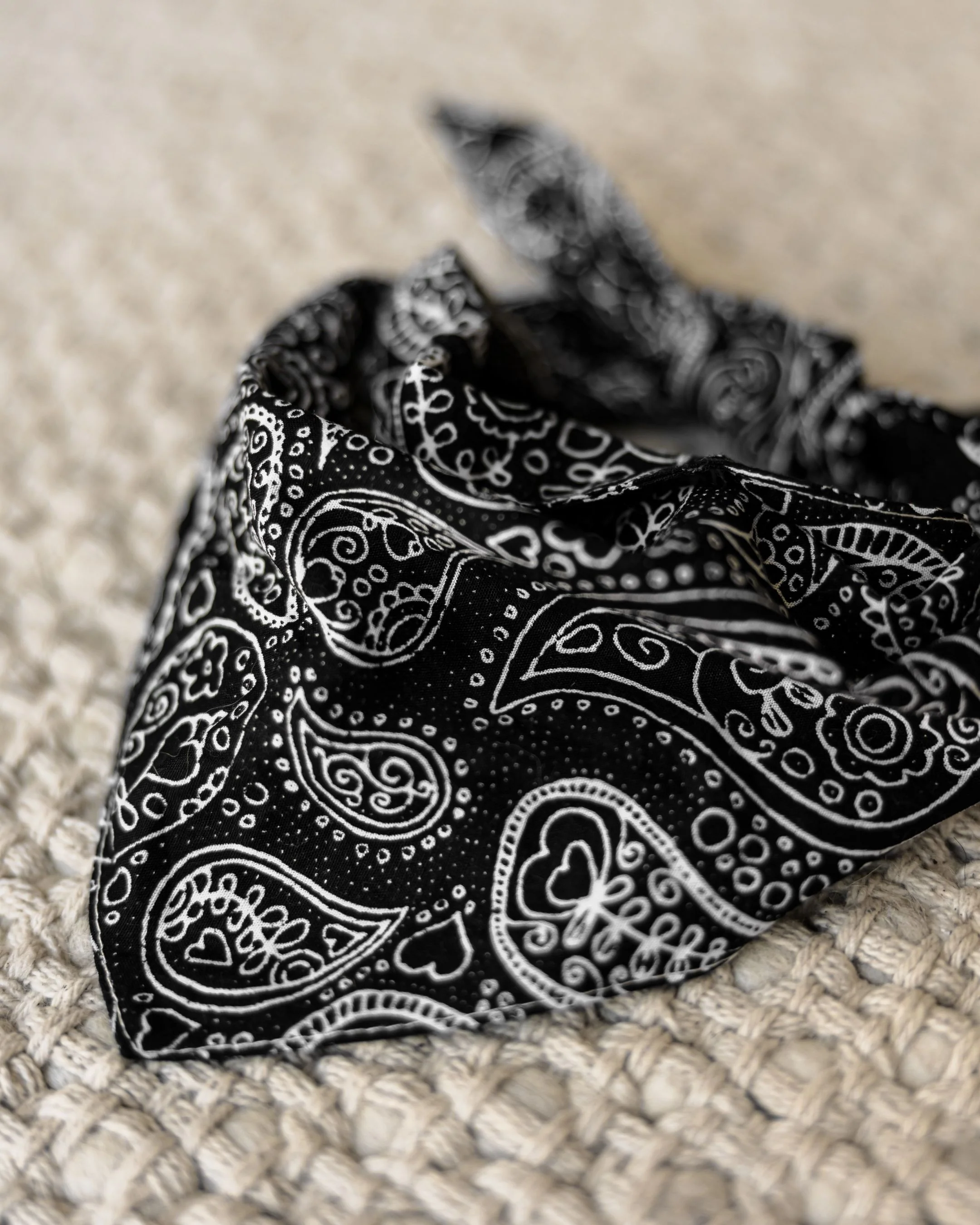 Ozzie Black Paisley Print Dog Bandana - Image 4
