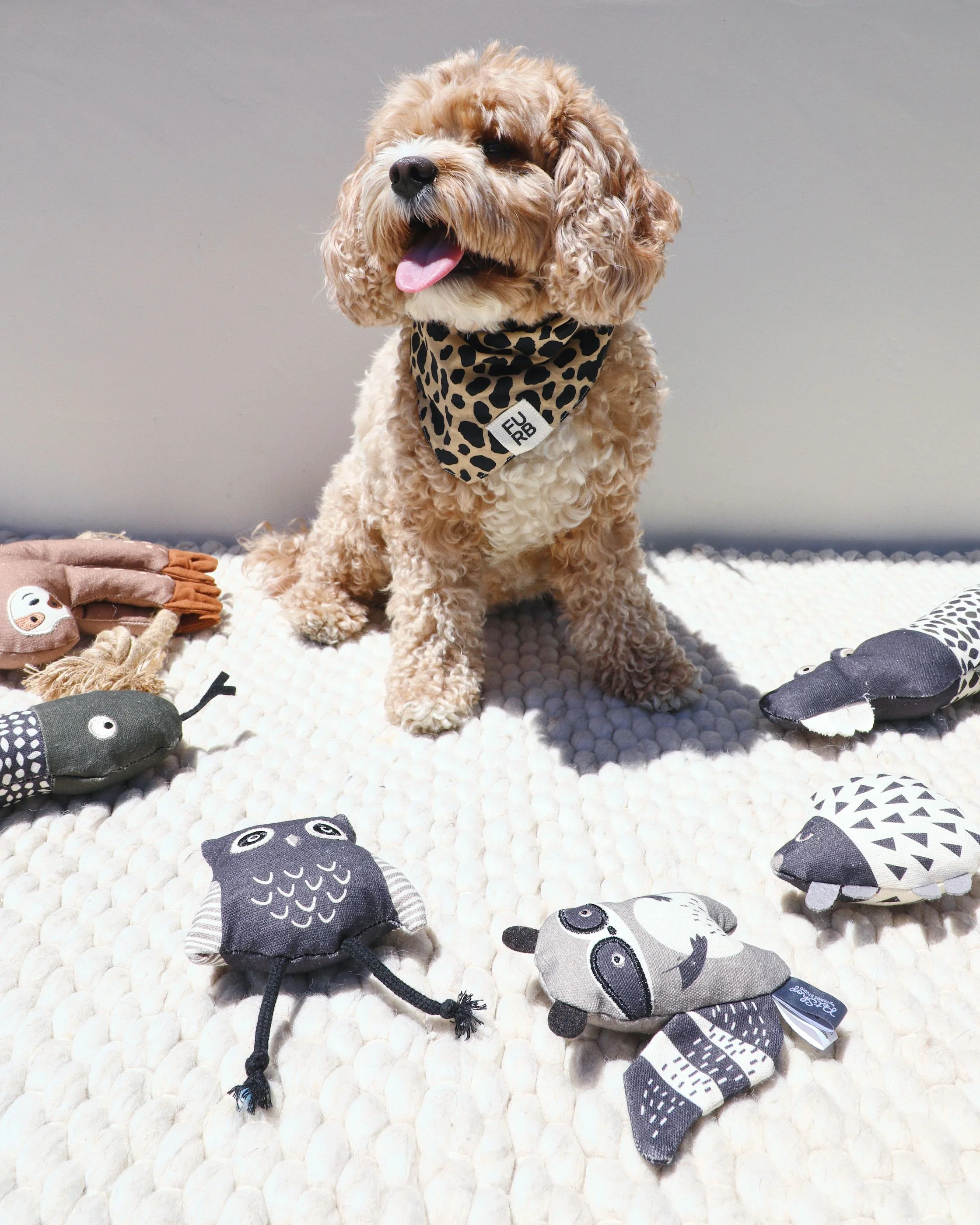 Midnight Mischief Mini Dog Toy Set - Image 7