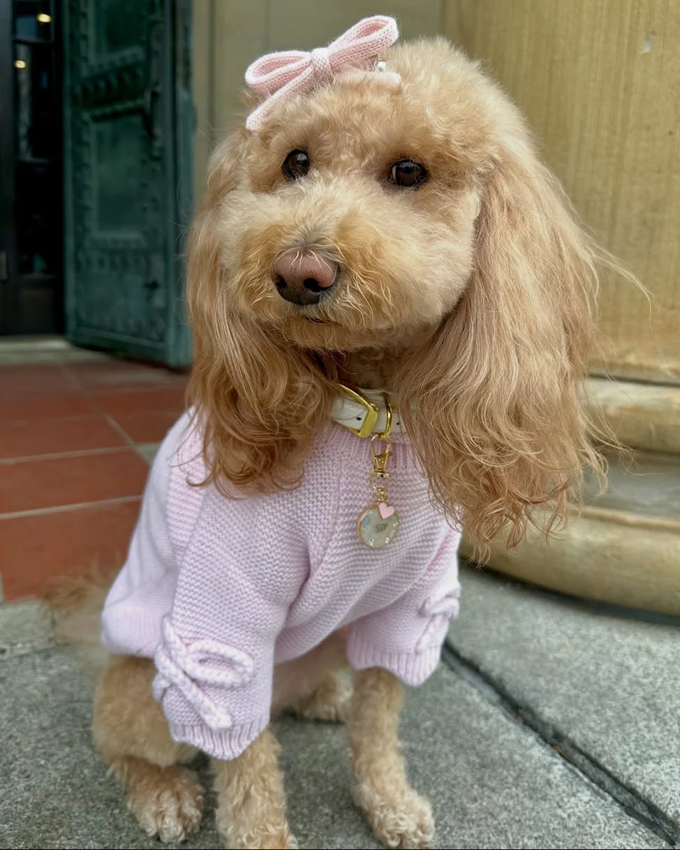 Lilah Pink Scalloped Detail Dog Sweater - Image 3