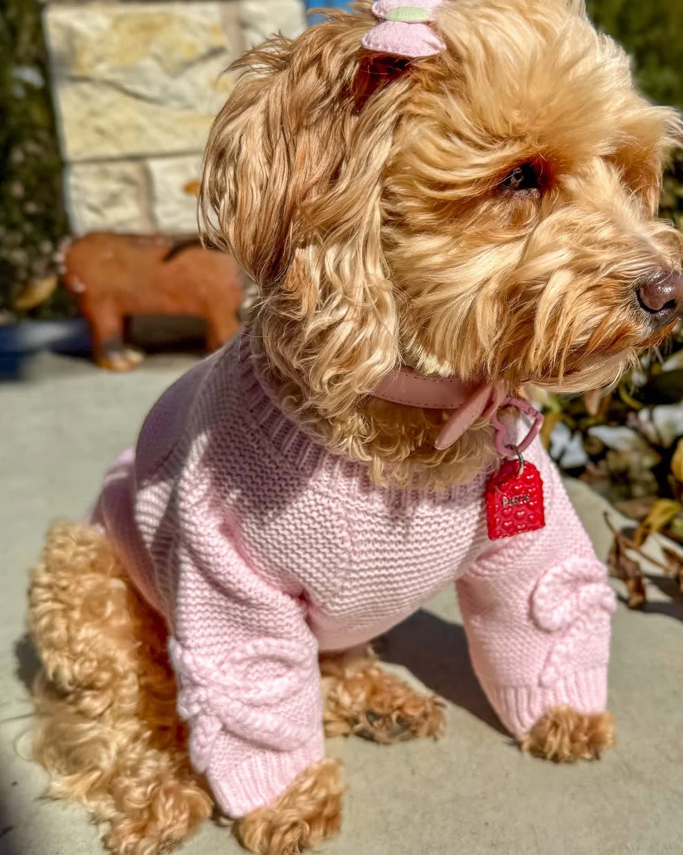 Lilah Pink Scalloped Detail Dog Sweater - Image 6