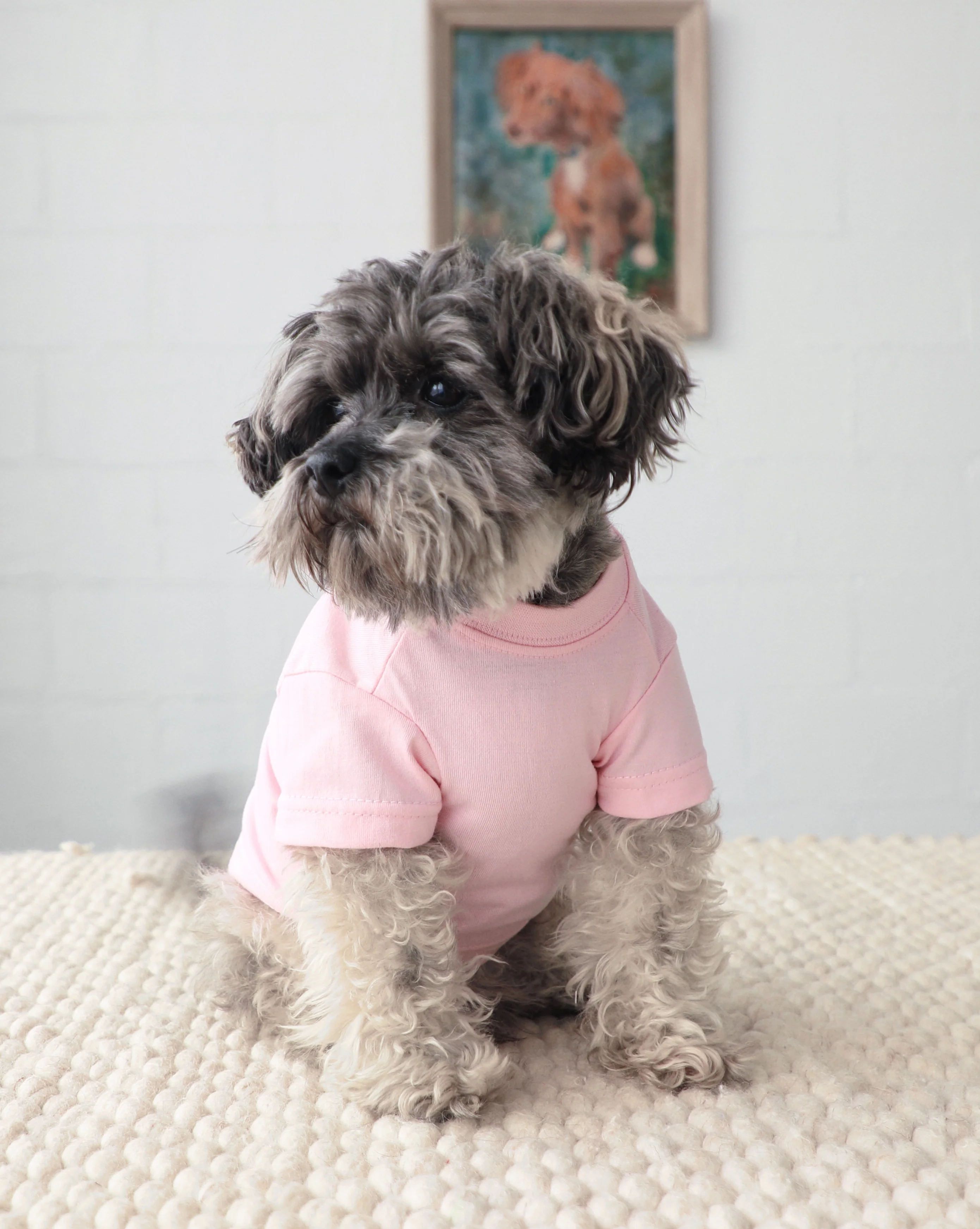 Casual Cutie Pink Relaxed Dog T-Shirt - Image 3