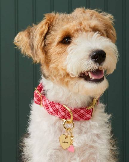 Pink Heart Collar Charm - Image 4