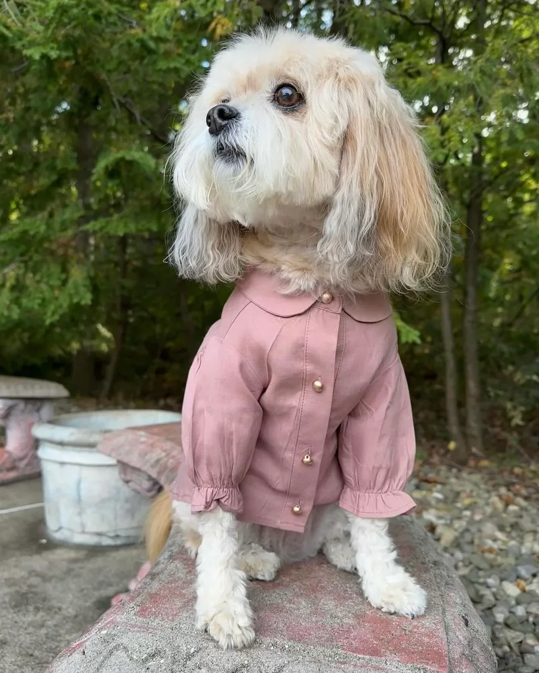 Mon Petit Rose Linen Dog Blouse - Image 6