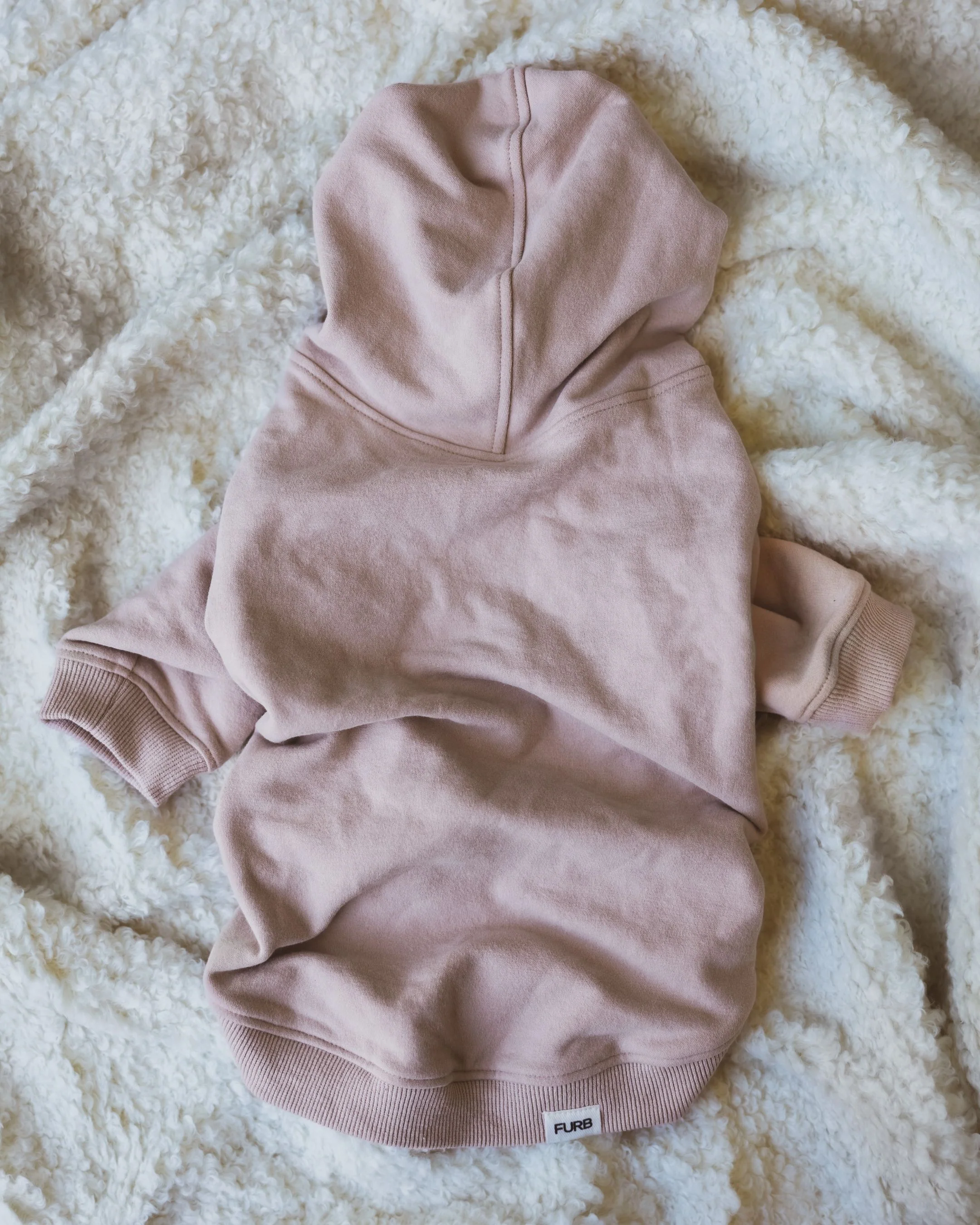 Ziggy Blush Dog Hoodie - Image 4