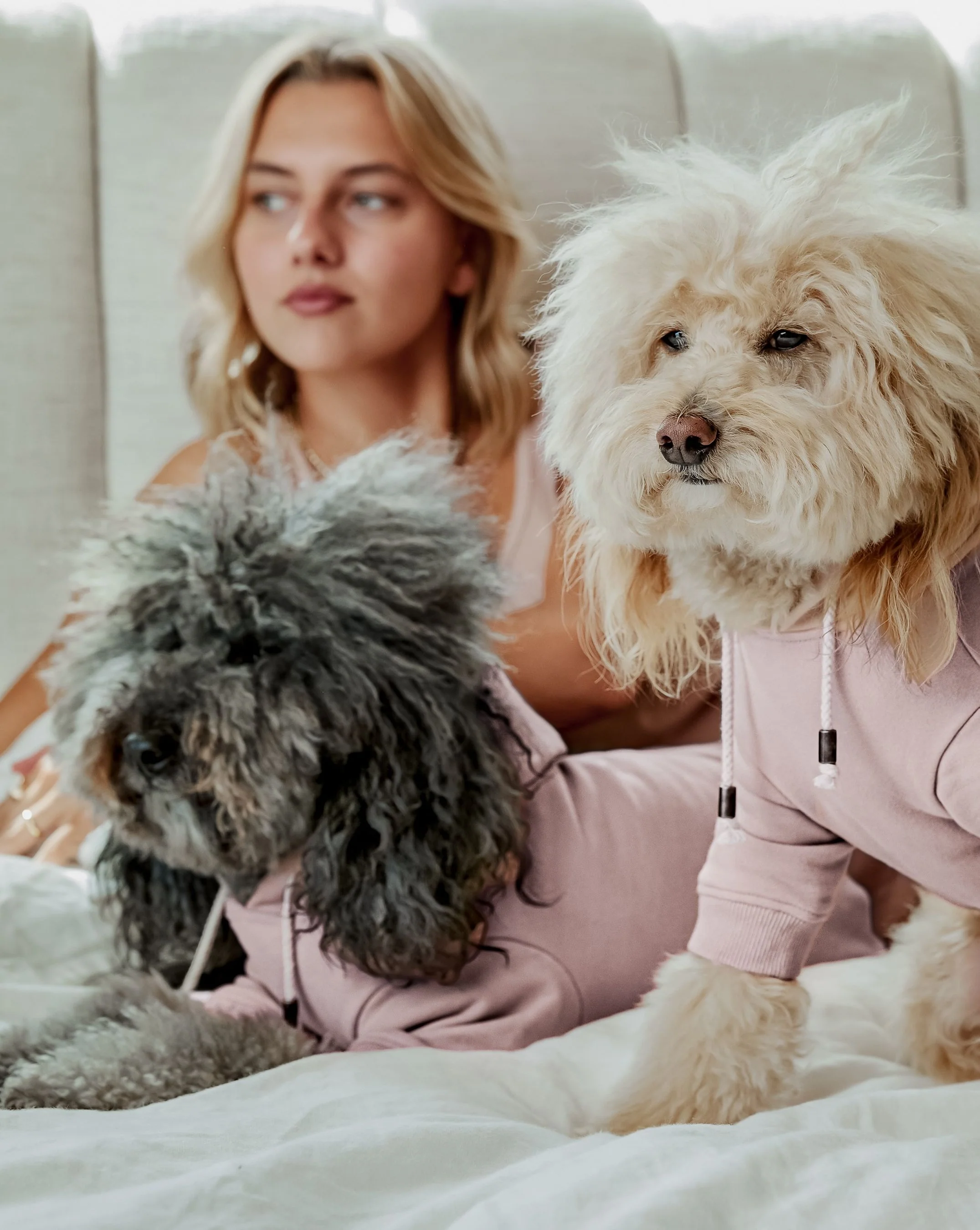 Ziggy Blush Dog Hoodie - Image 8