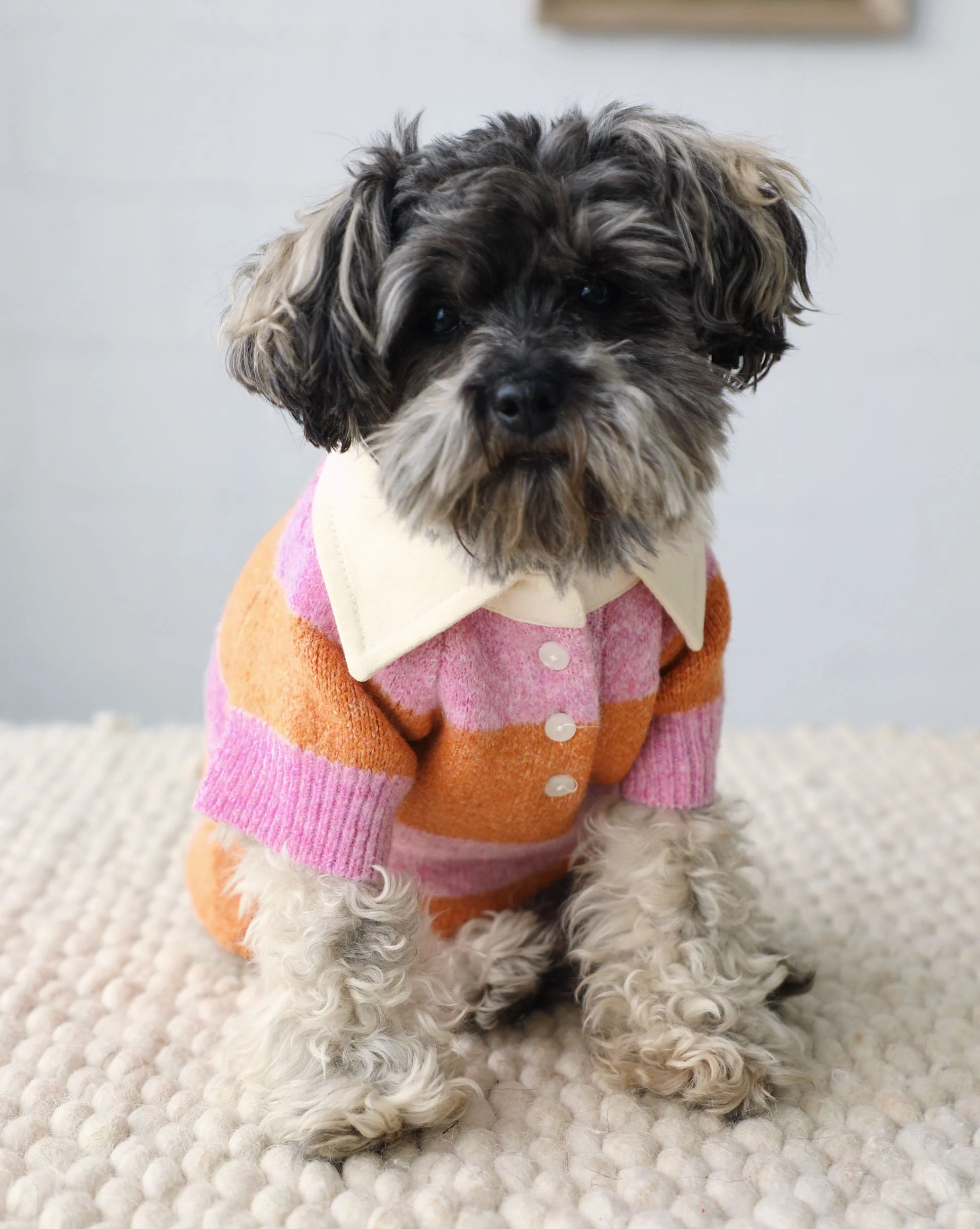 Prep School Pup Pink + Orange Striped Rugby Sweater