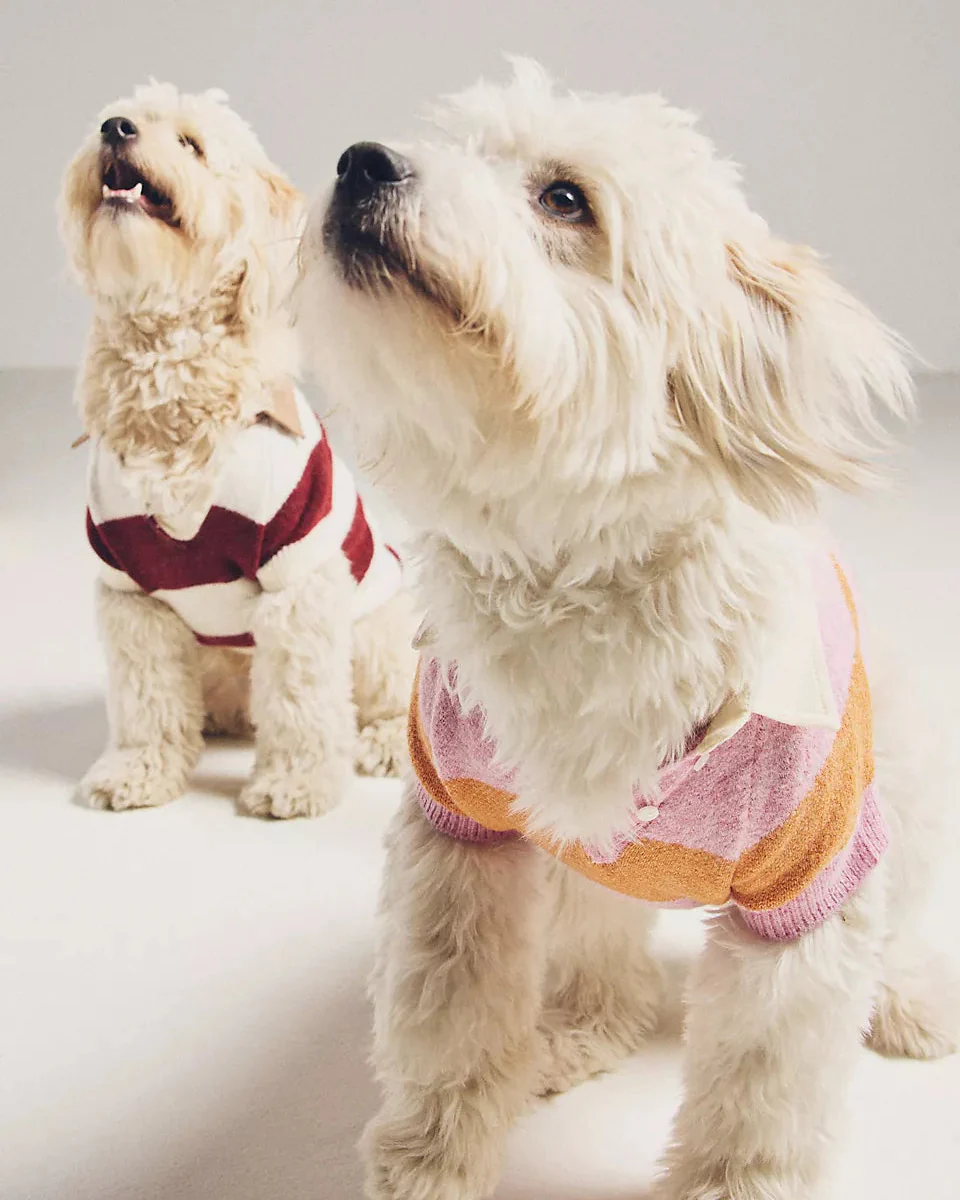 Prep School Pup Pink + Orange Striped Rugby Sweater - Image 8