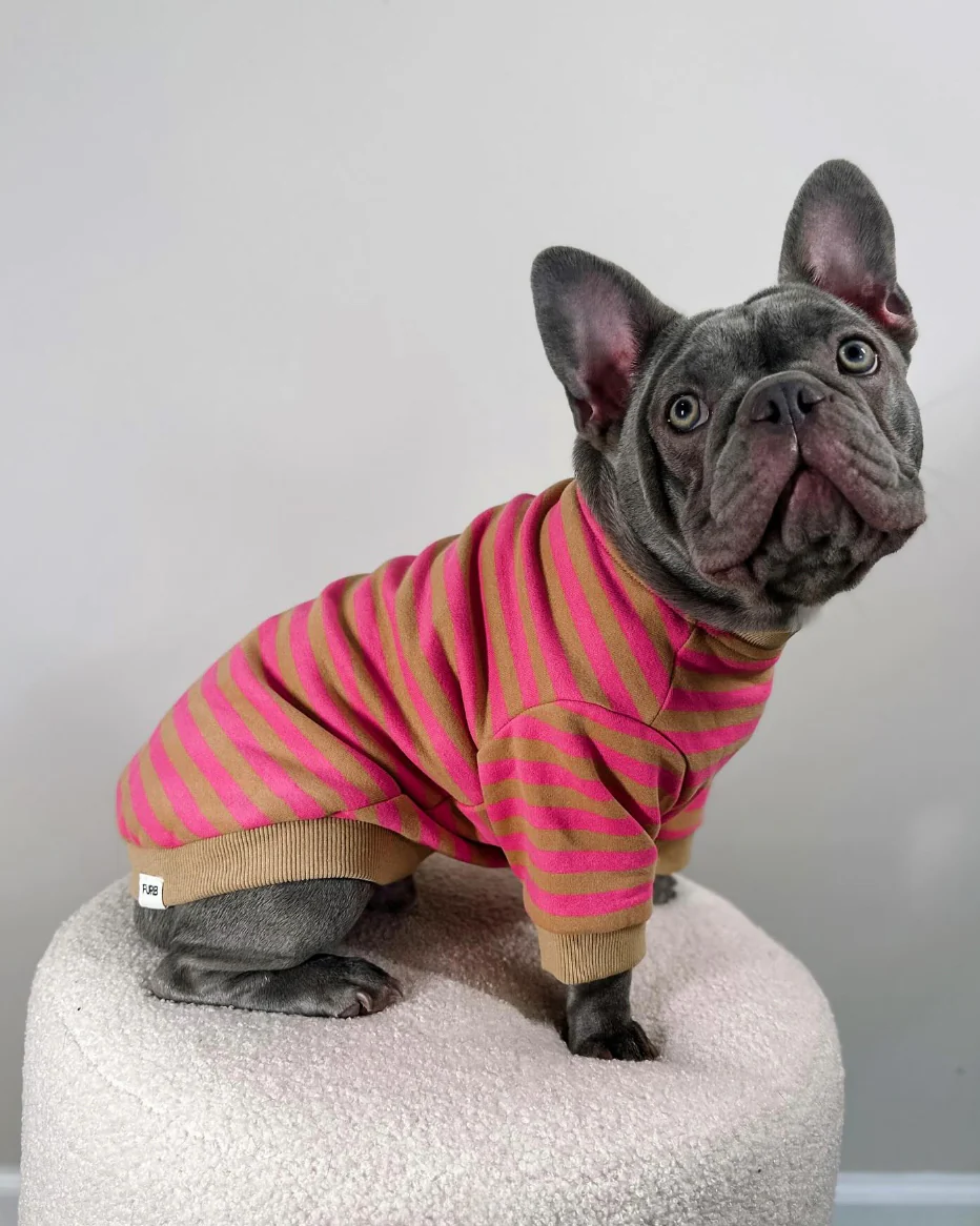 Camden Pink + Tan Striped Dog Sweatshirt - Image 5