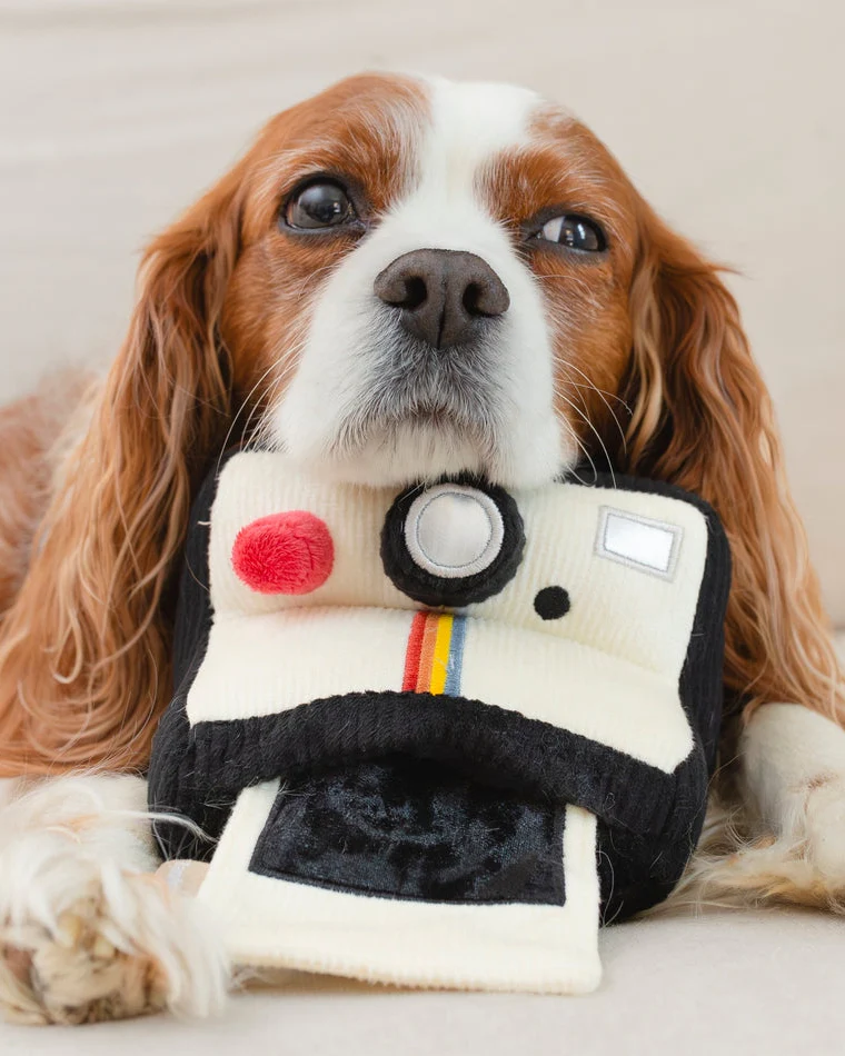Puparazzi Instant Camera Snuffle Toy - Image 2
