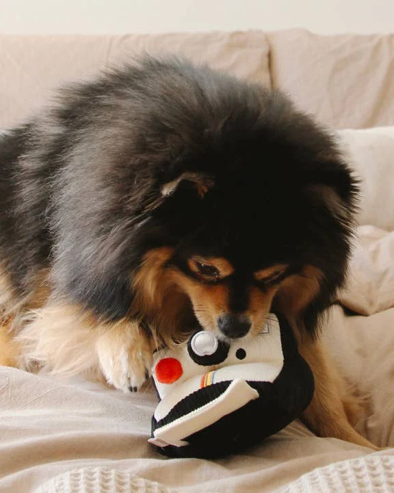 Puparazzi Instant Camera Snuffle Toy - Image 4